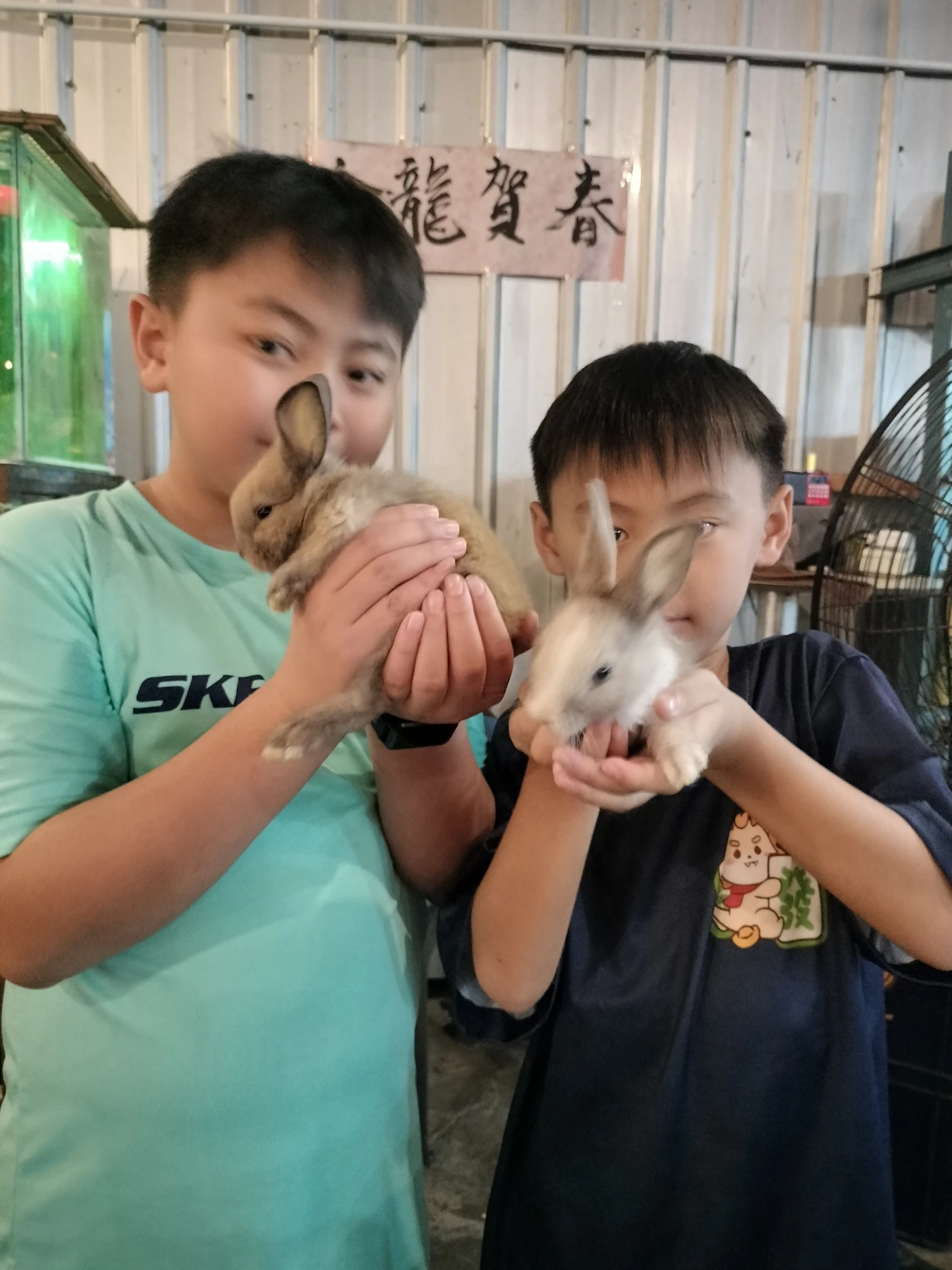 image-2