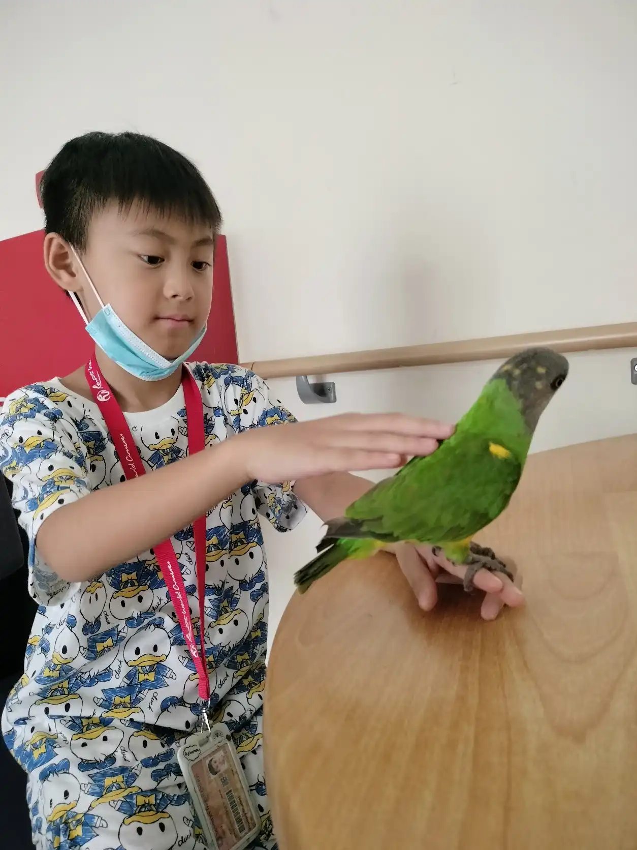 image-6
