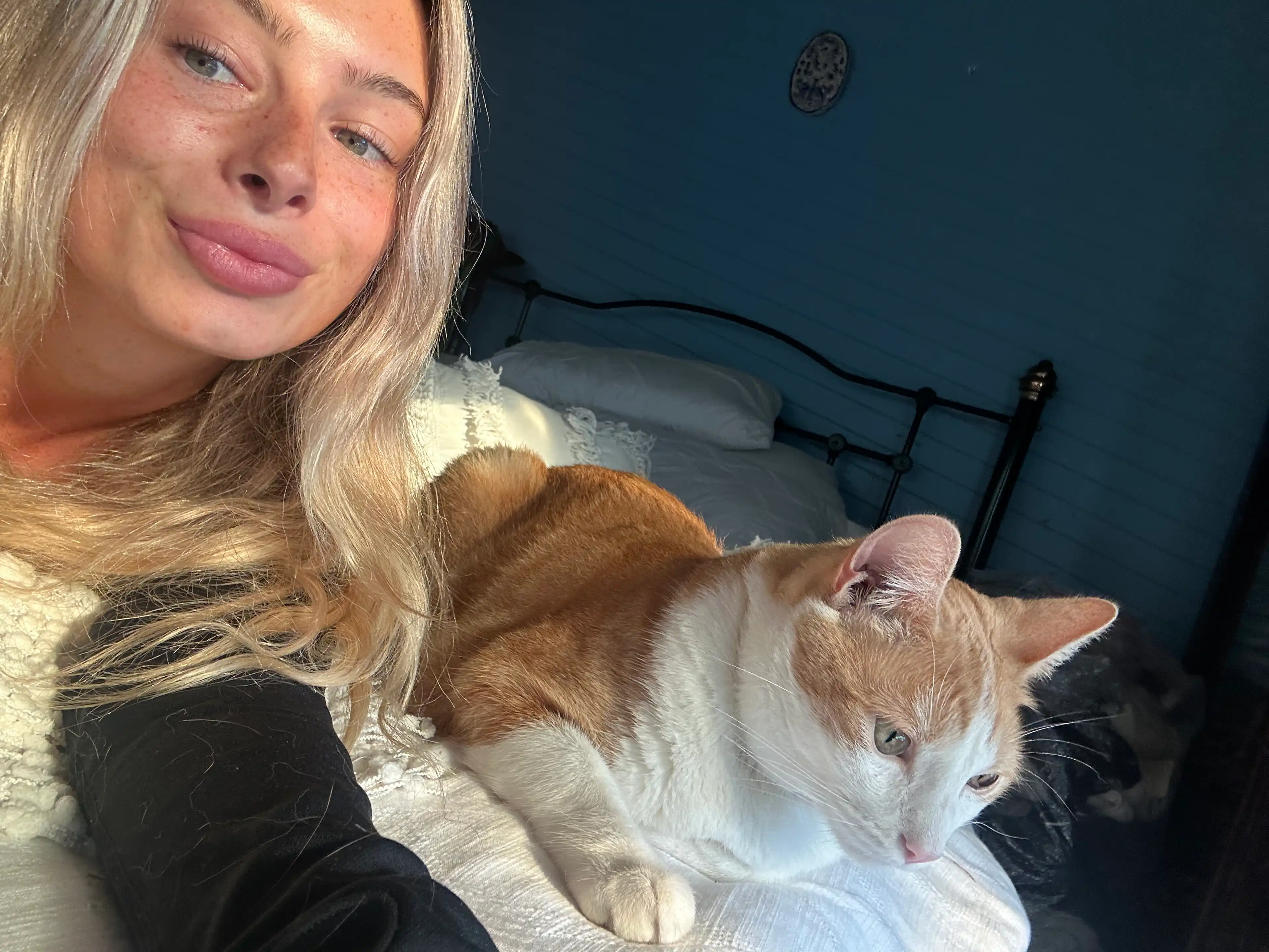 image-6