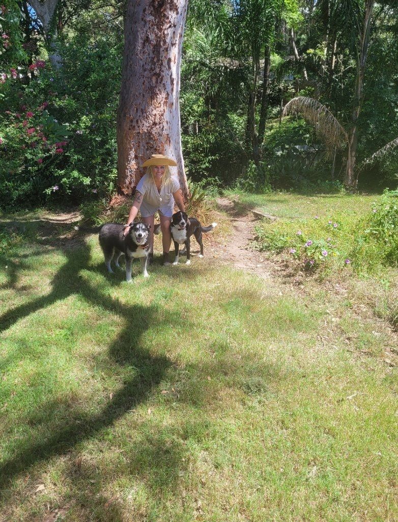 image-6