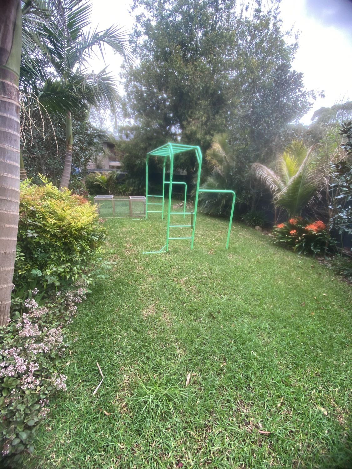image-5