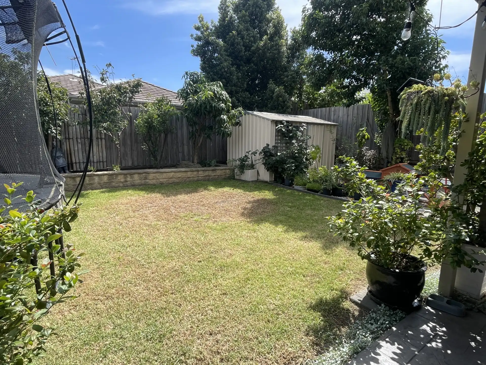 image-15
