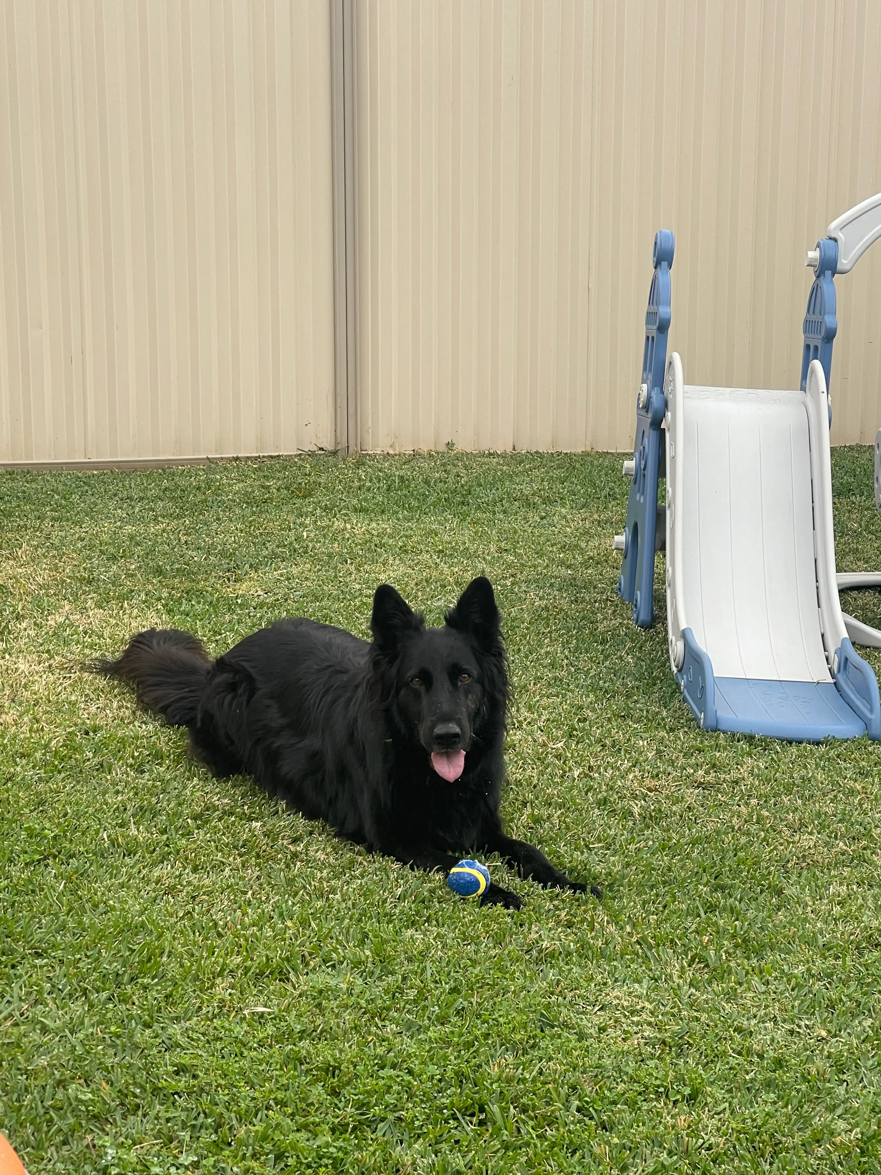 image-15