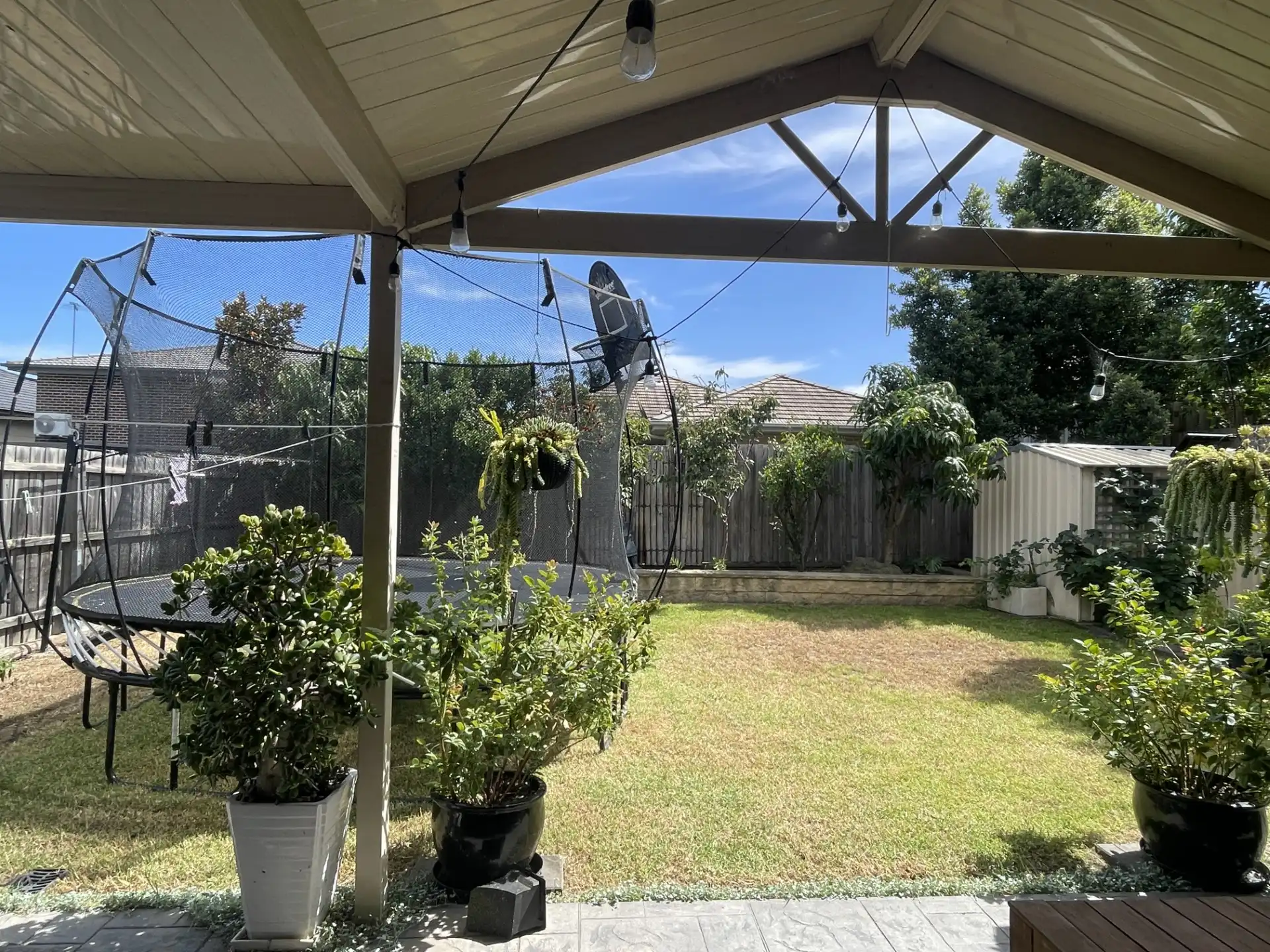 image-14
