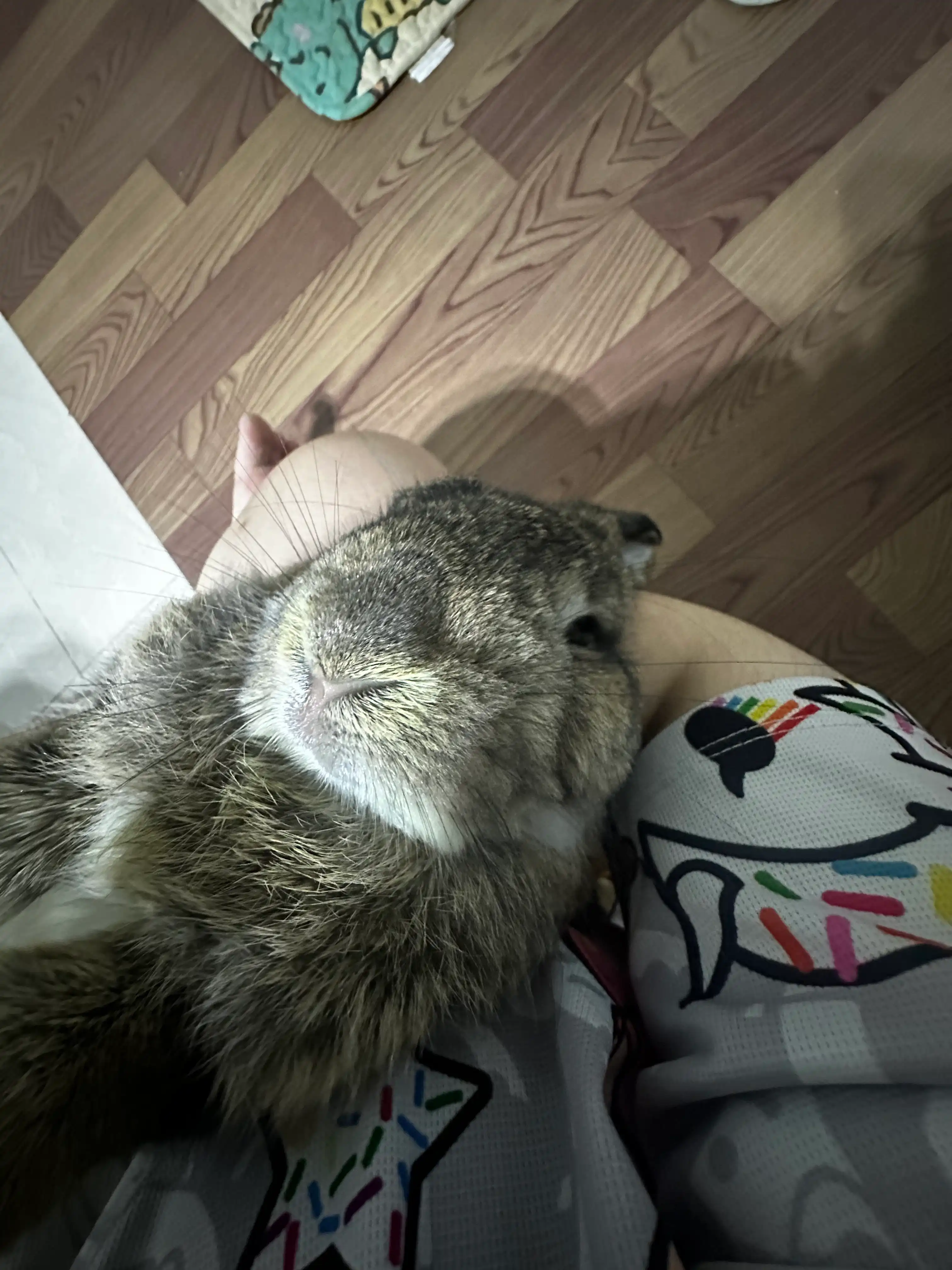 image-15