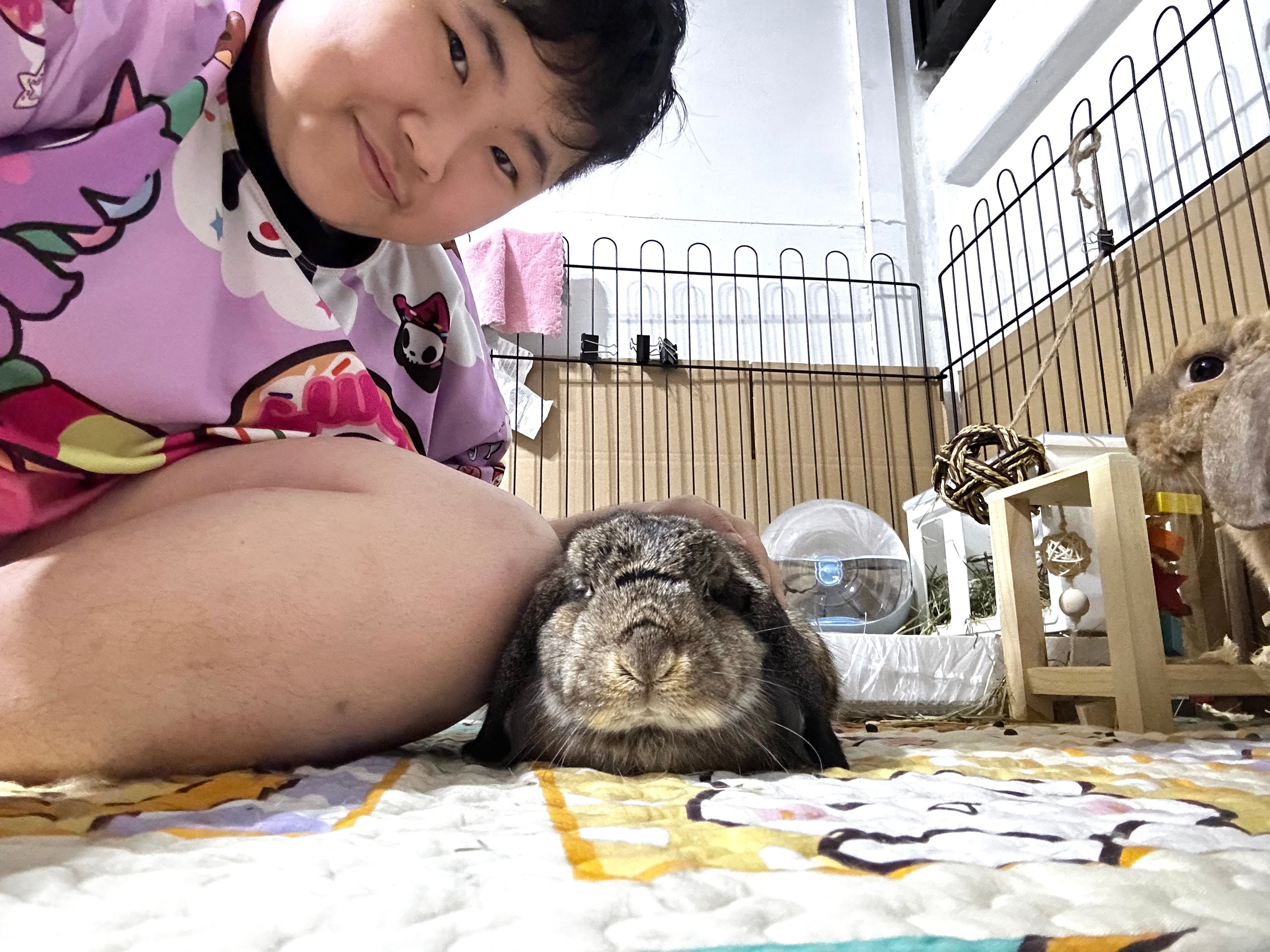 image-14