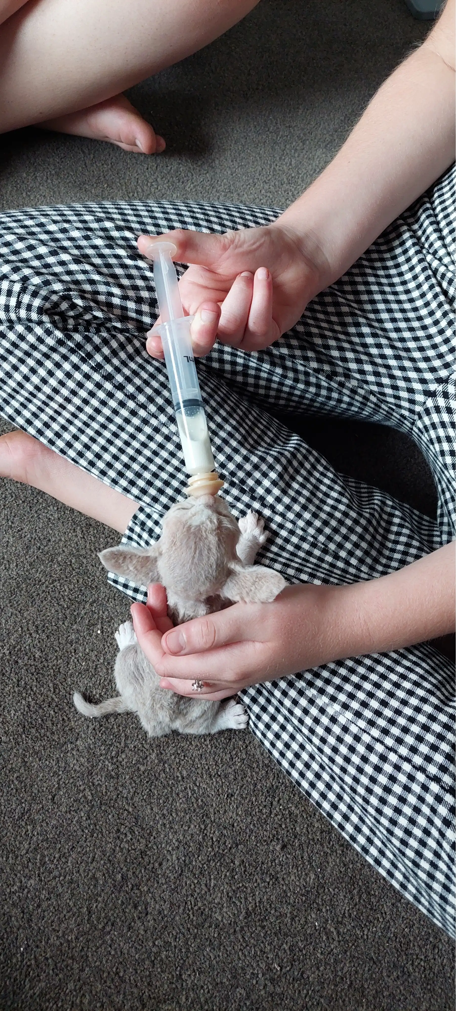 image-6