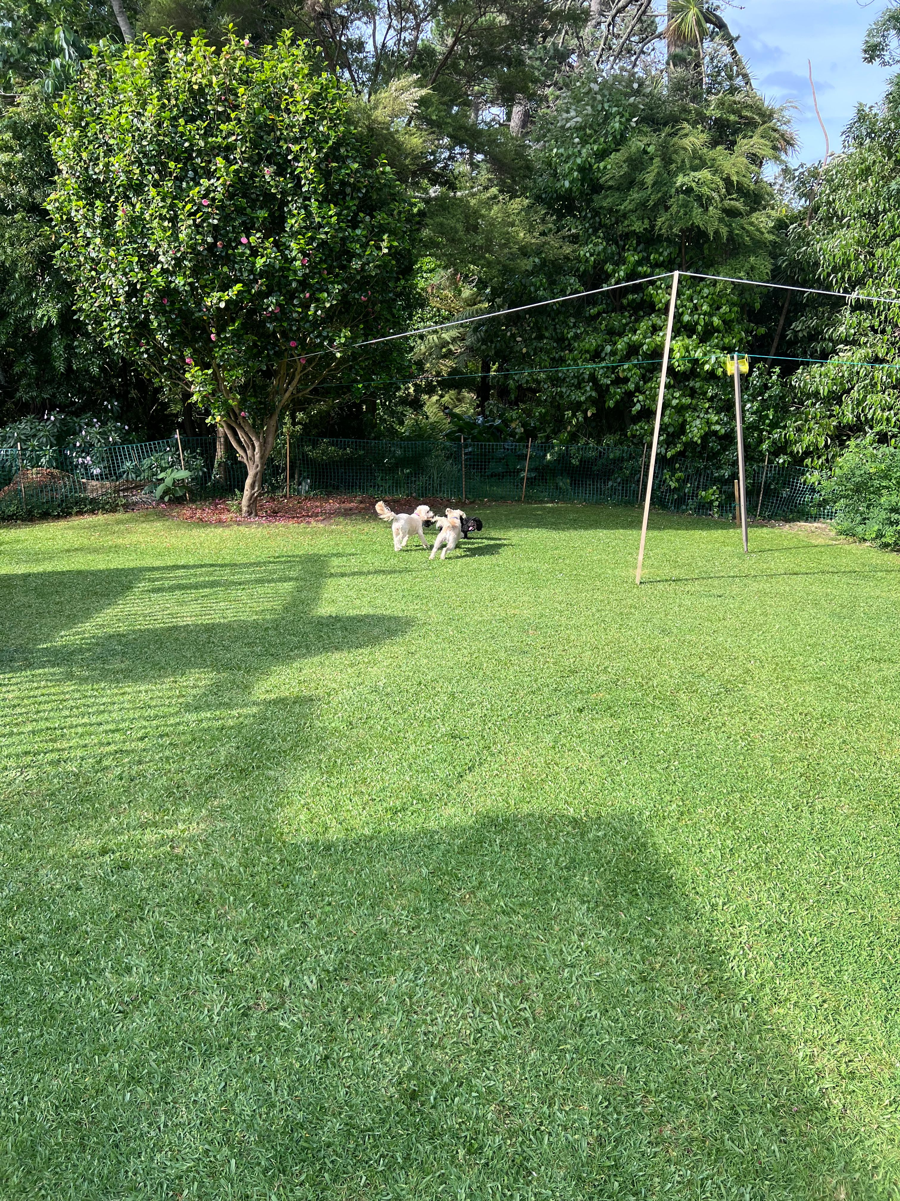 image-17