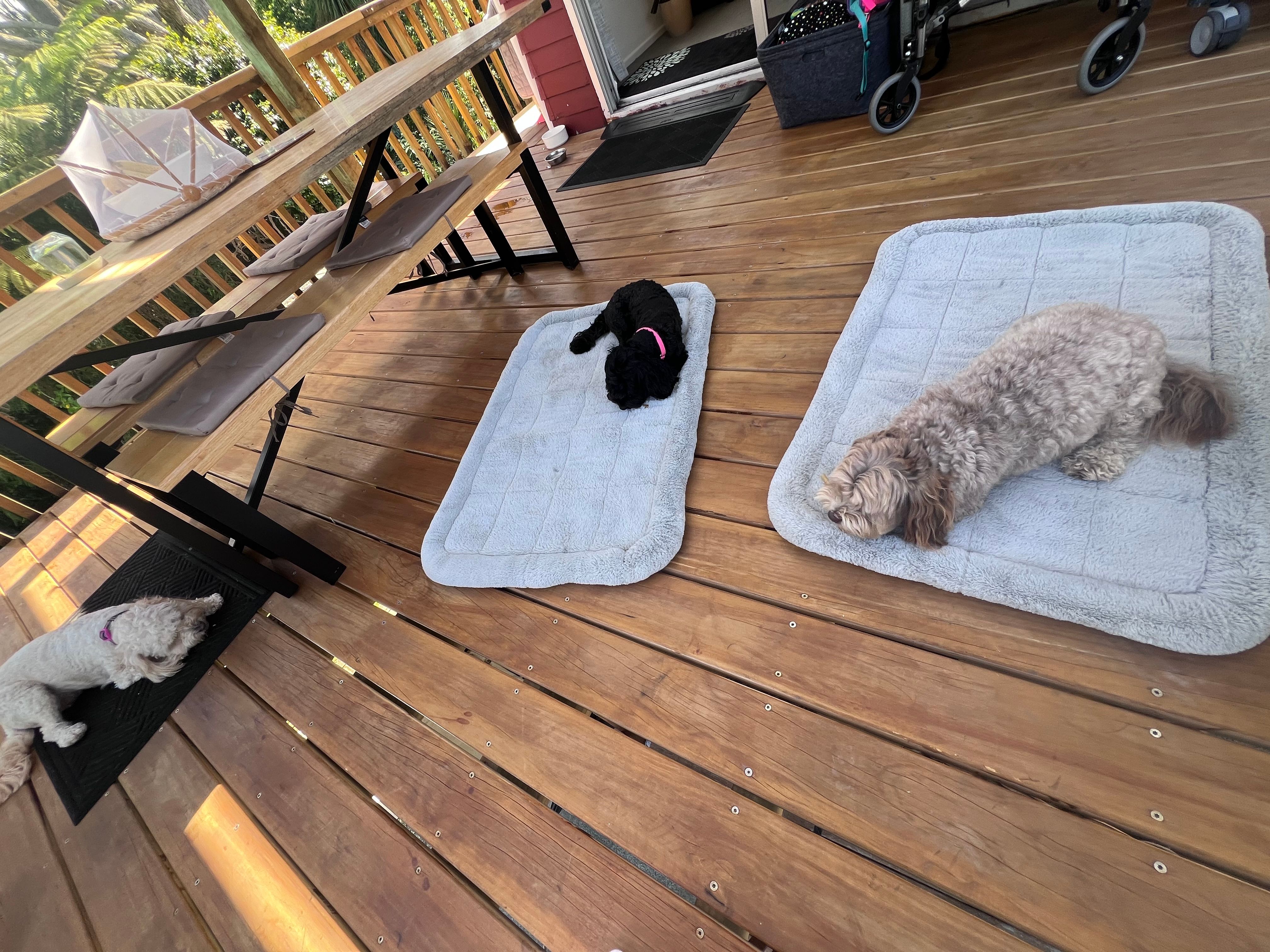 image-18