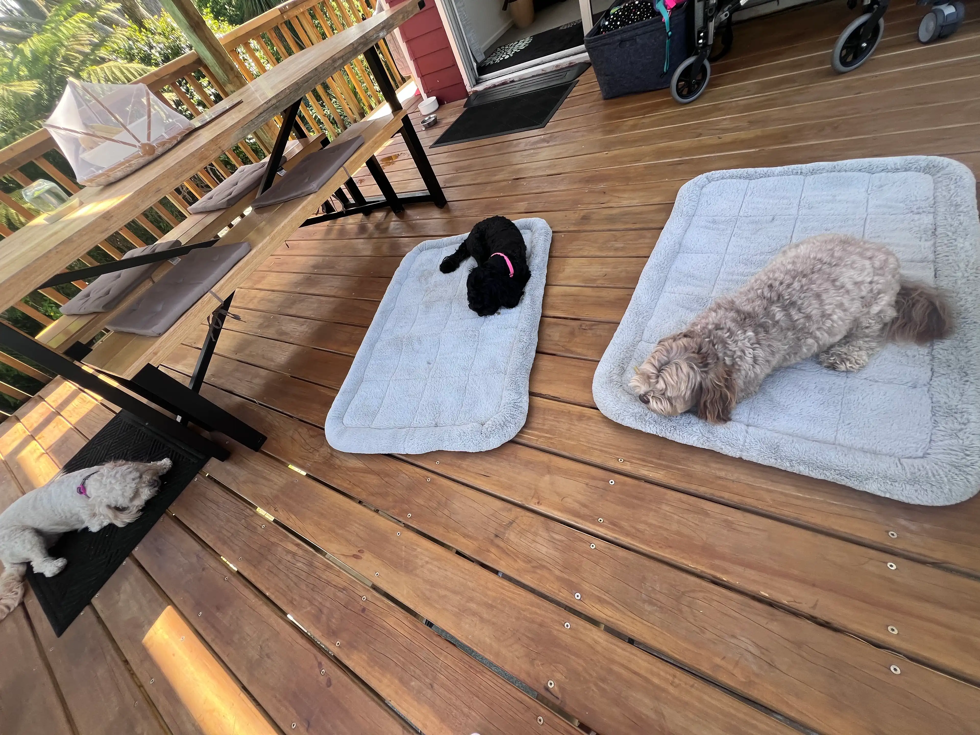 image-18