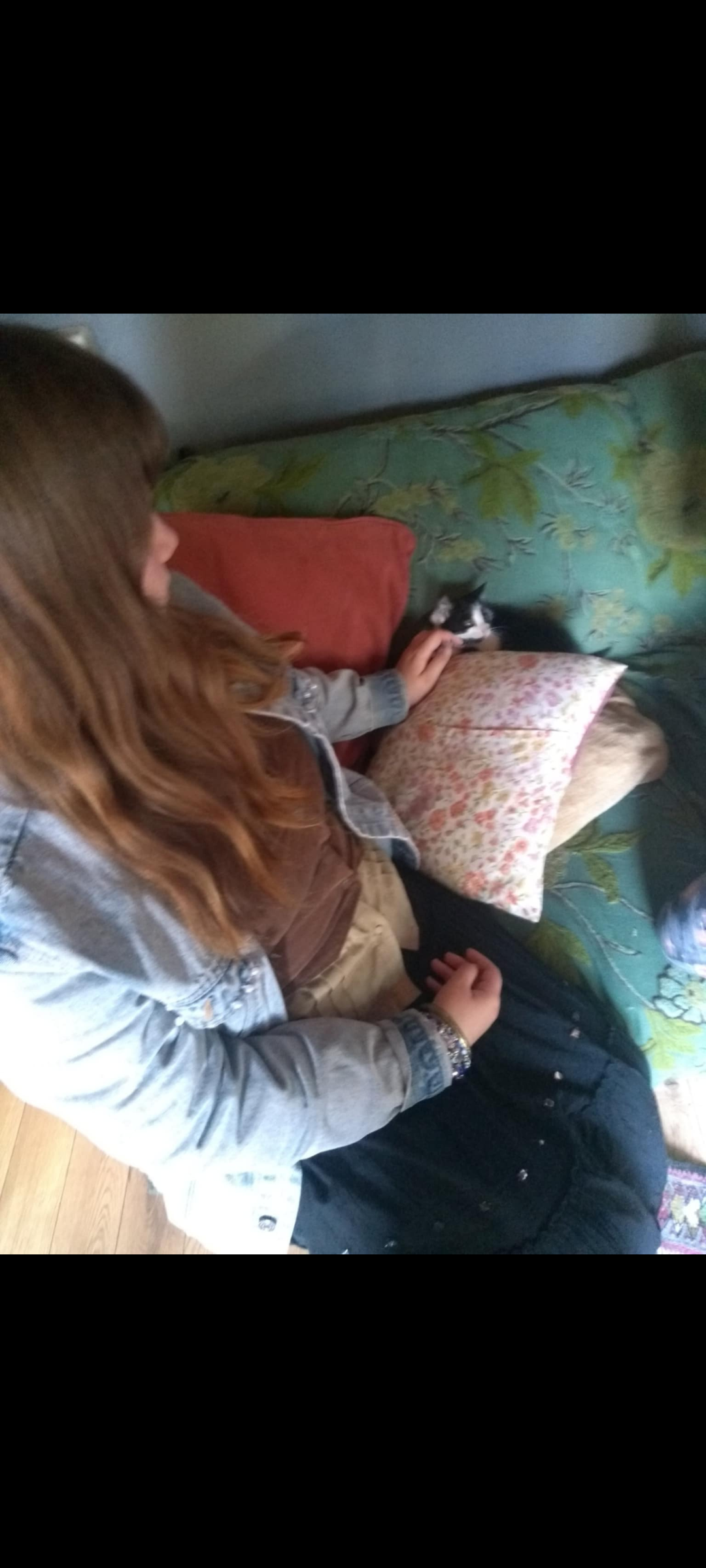 image-5