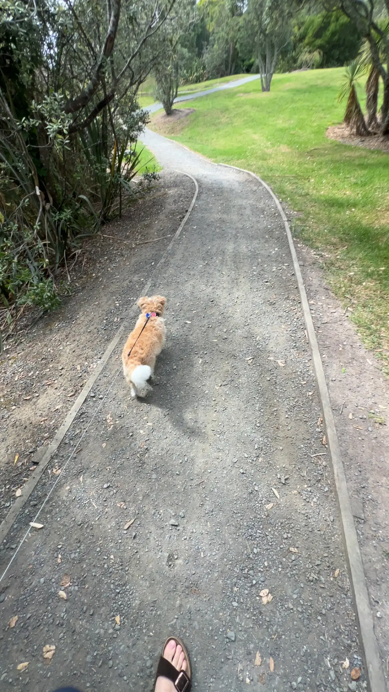 image-5