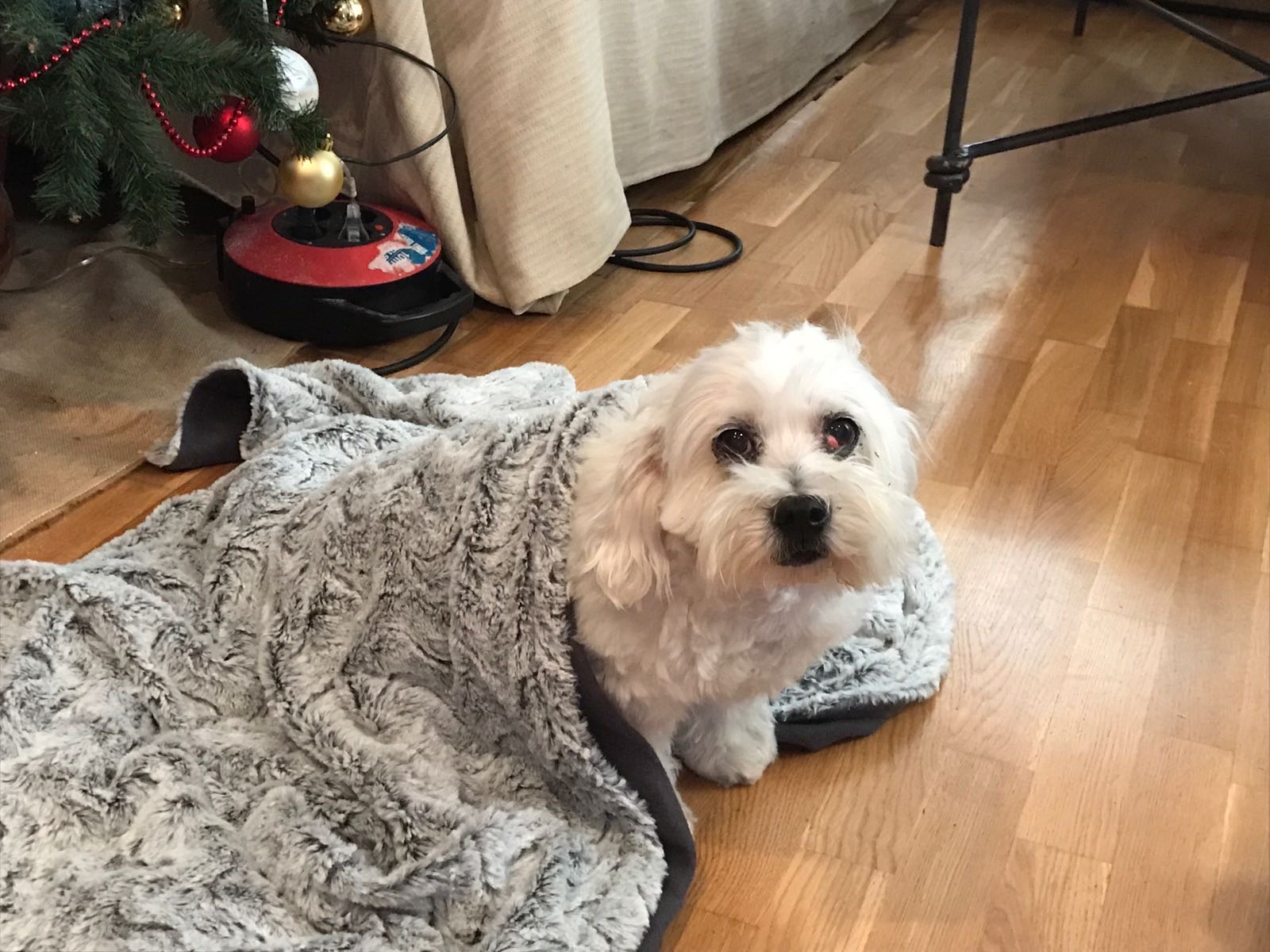 image-10