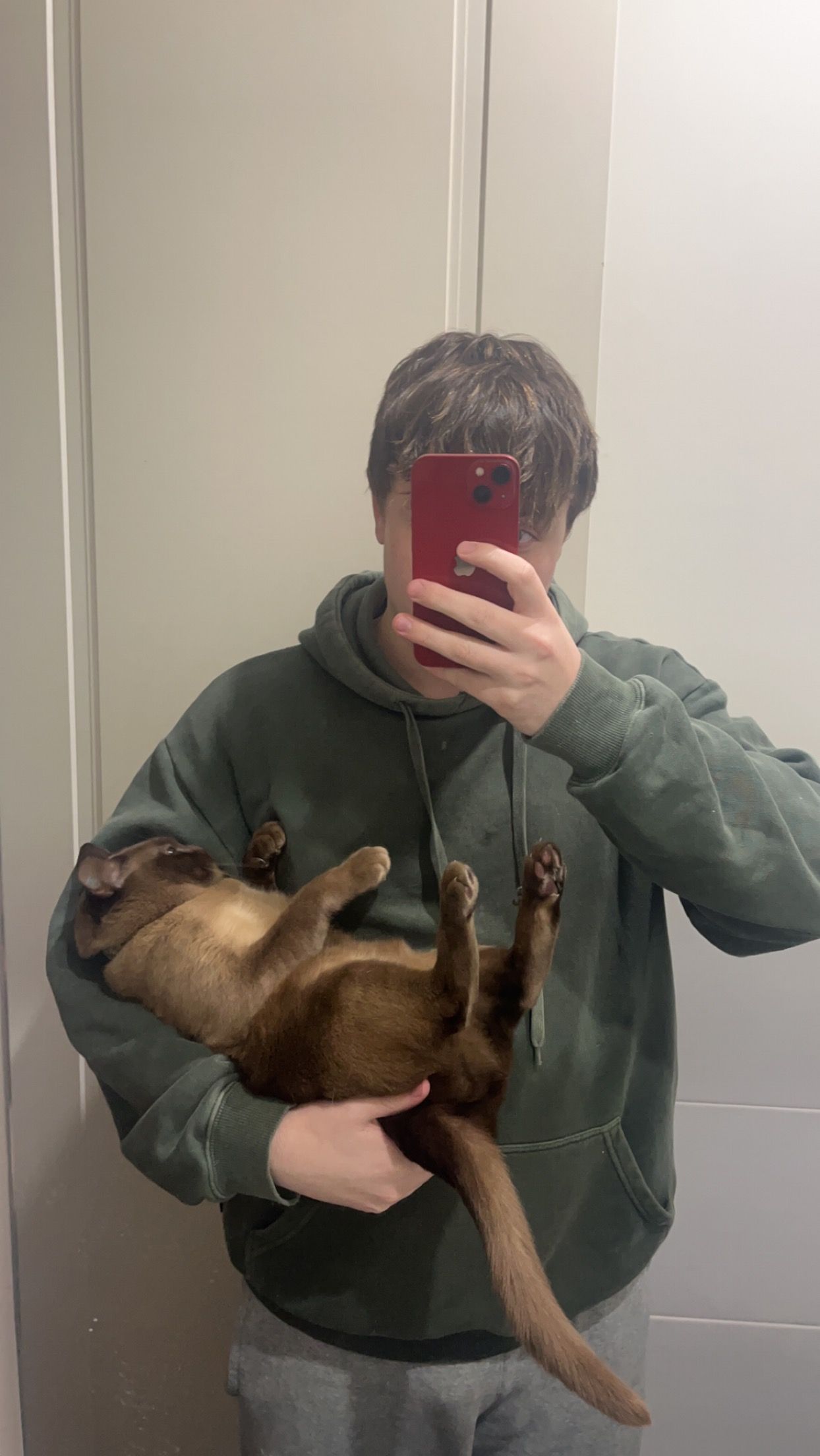 image-8