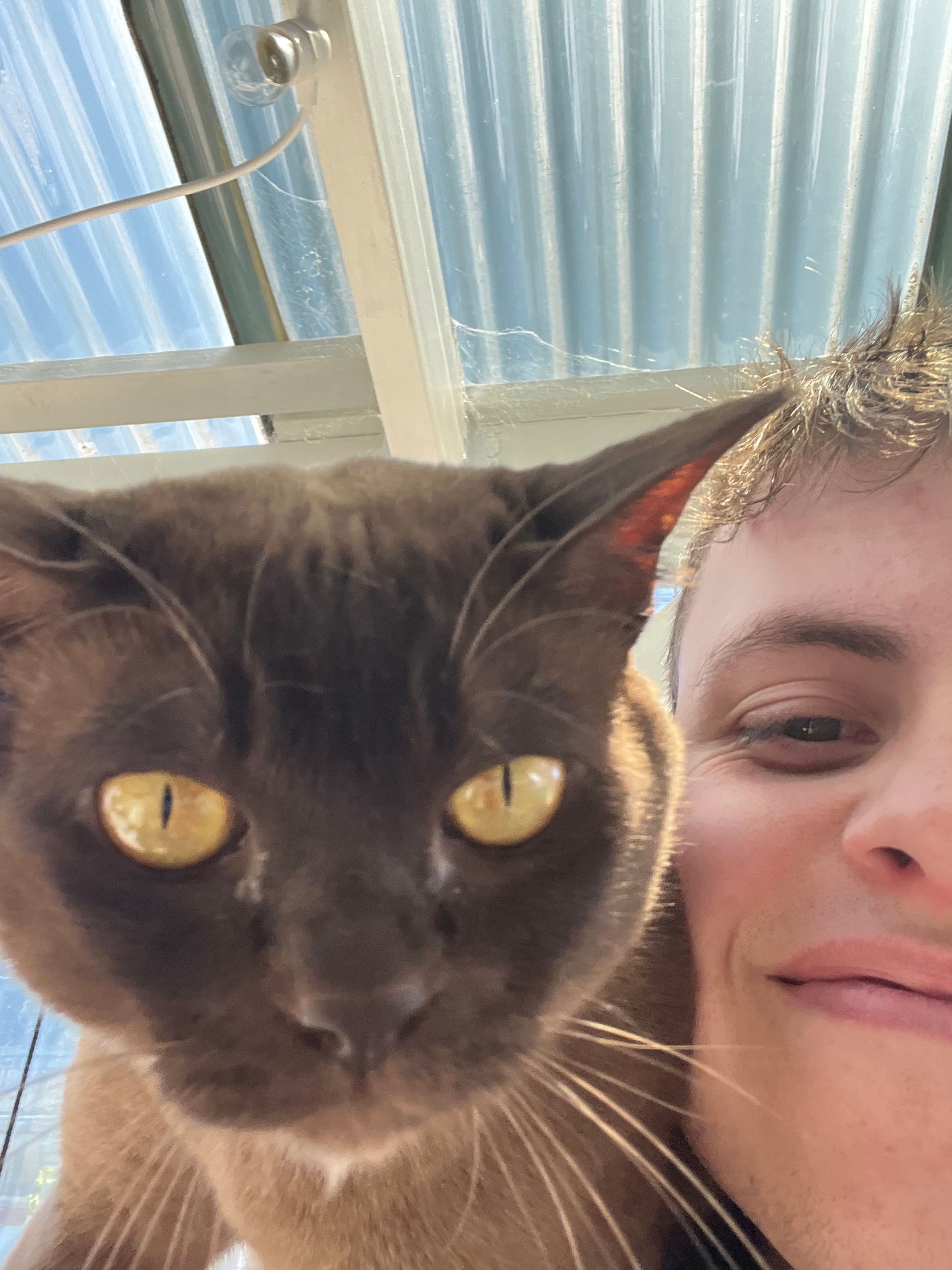 image-11