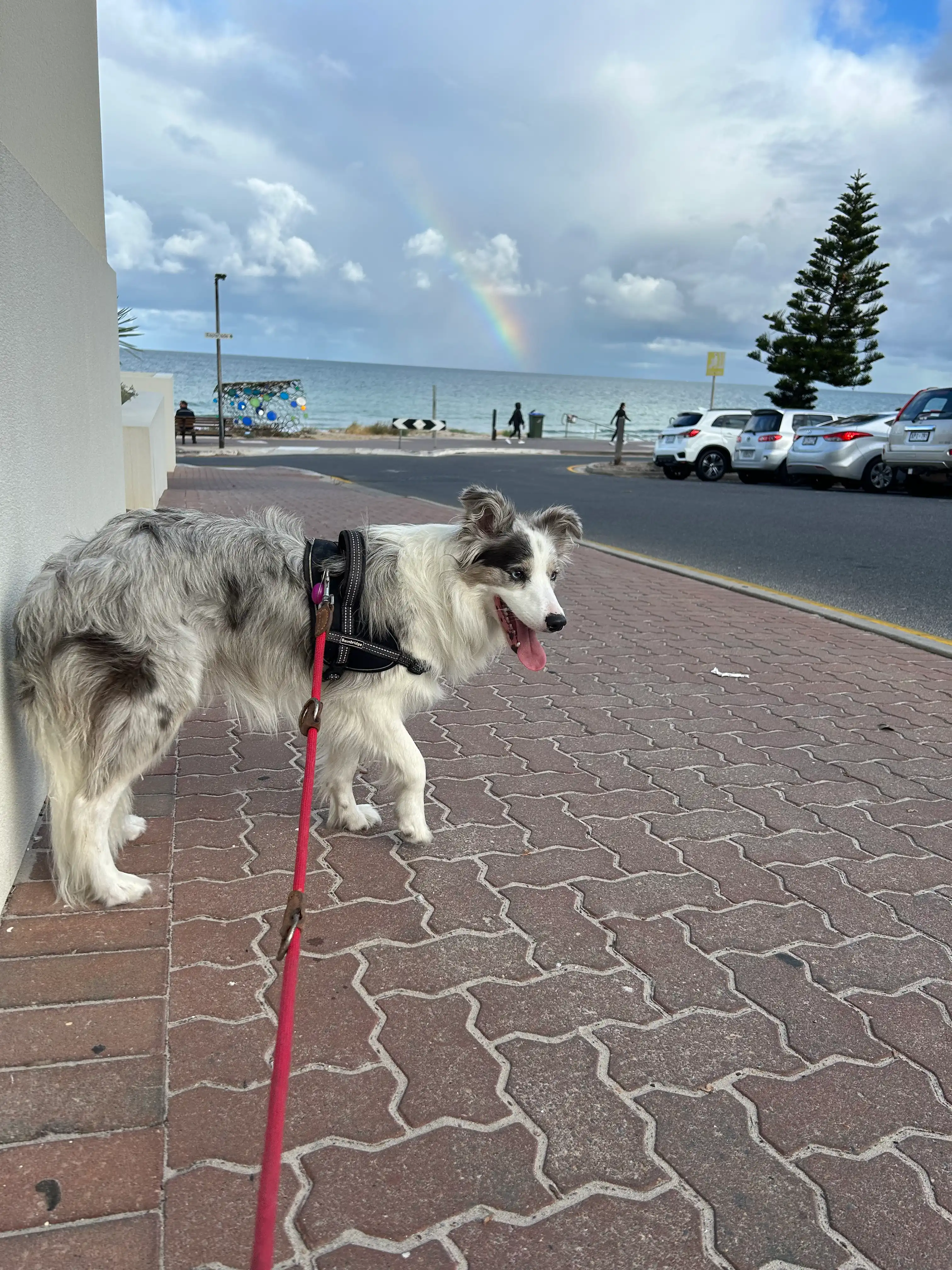 image-12