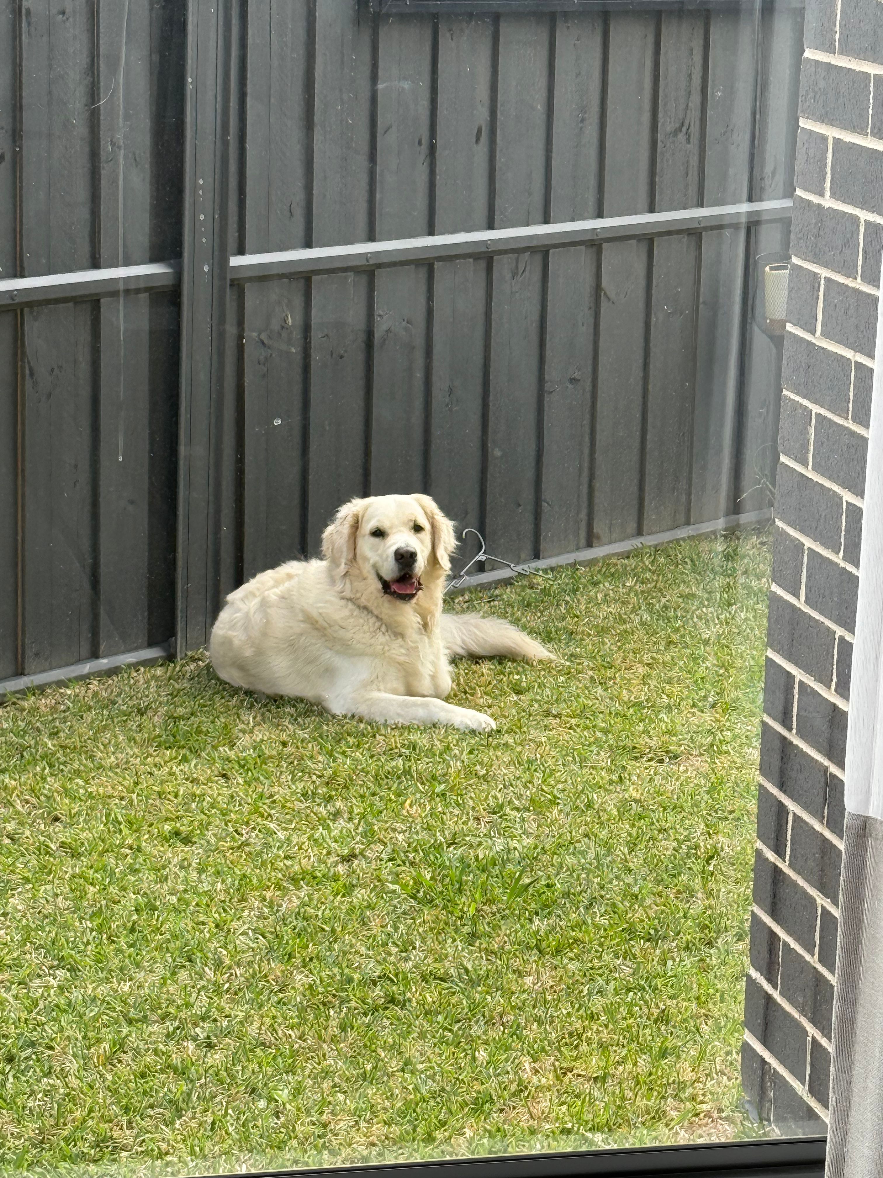 image-8