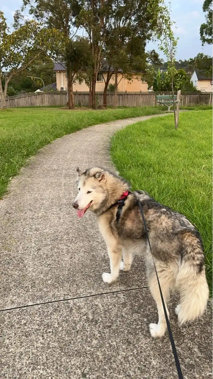 image-9