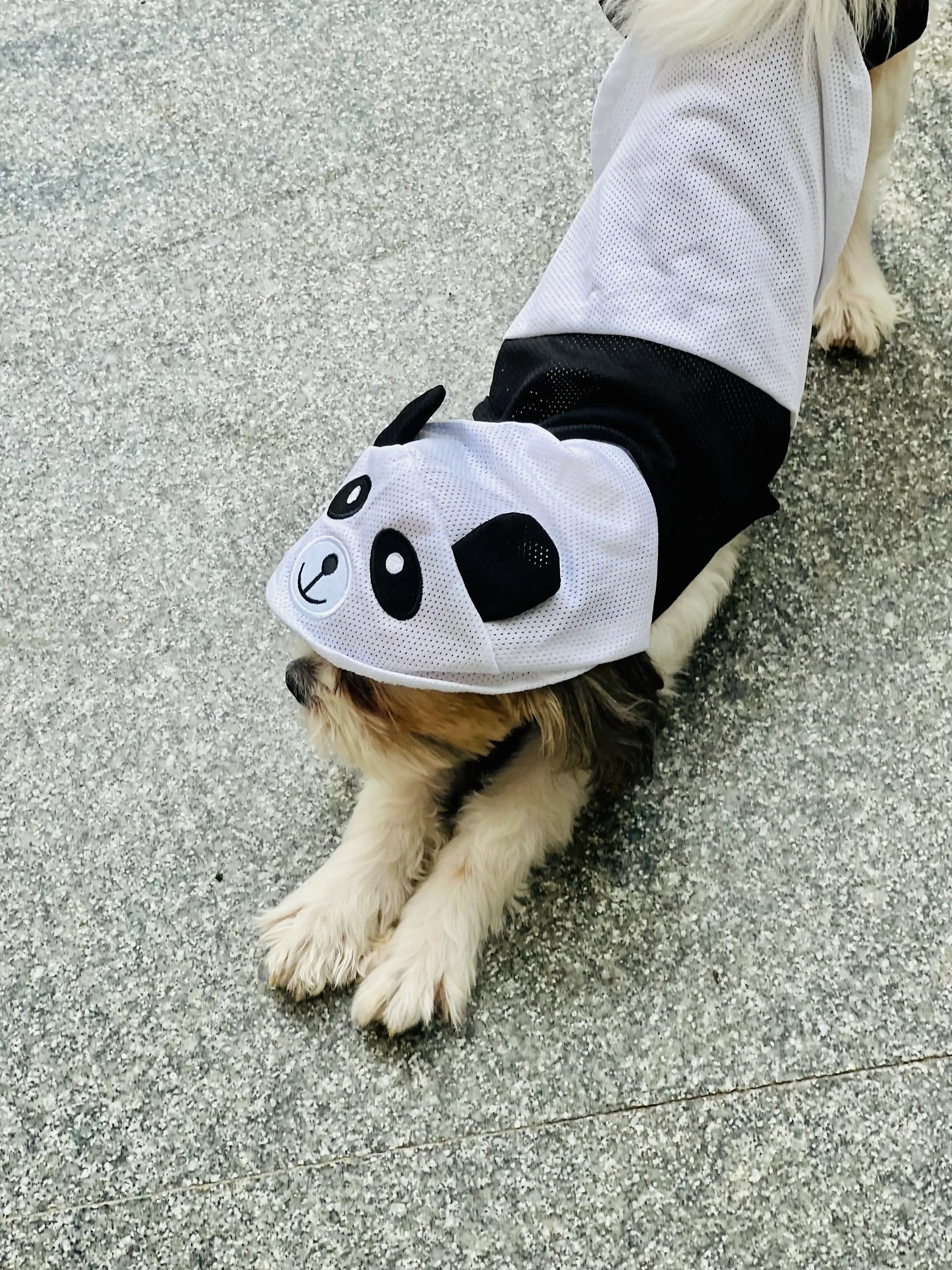 image-10