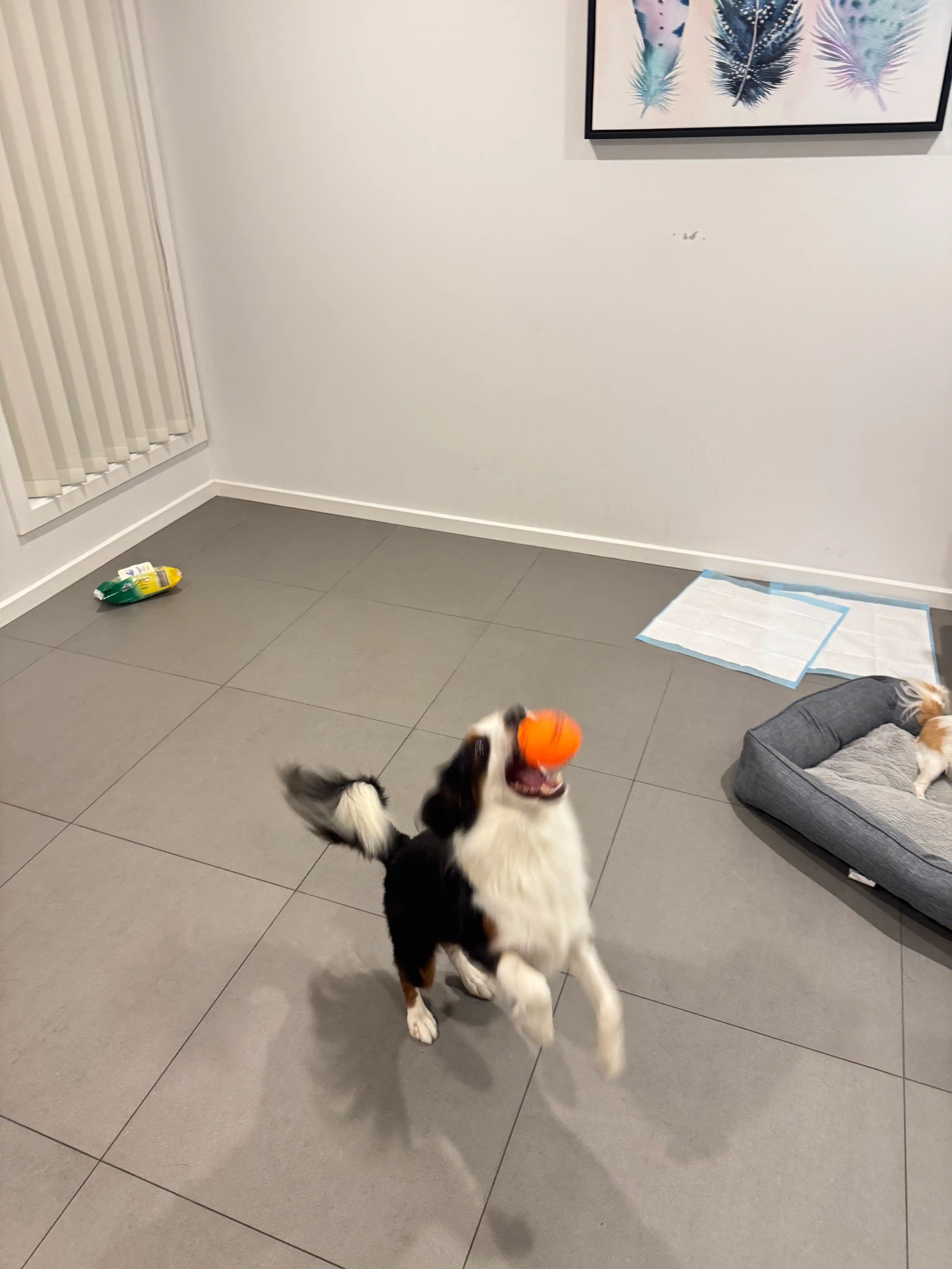 image-18