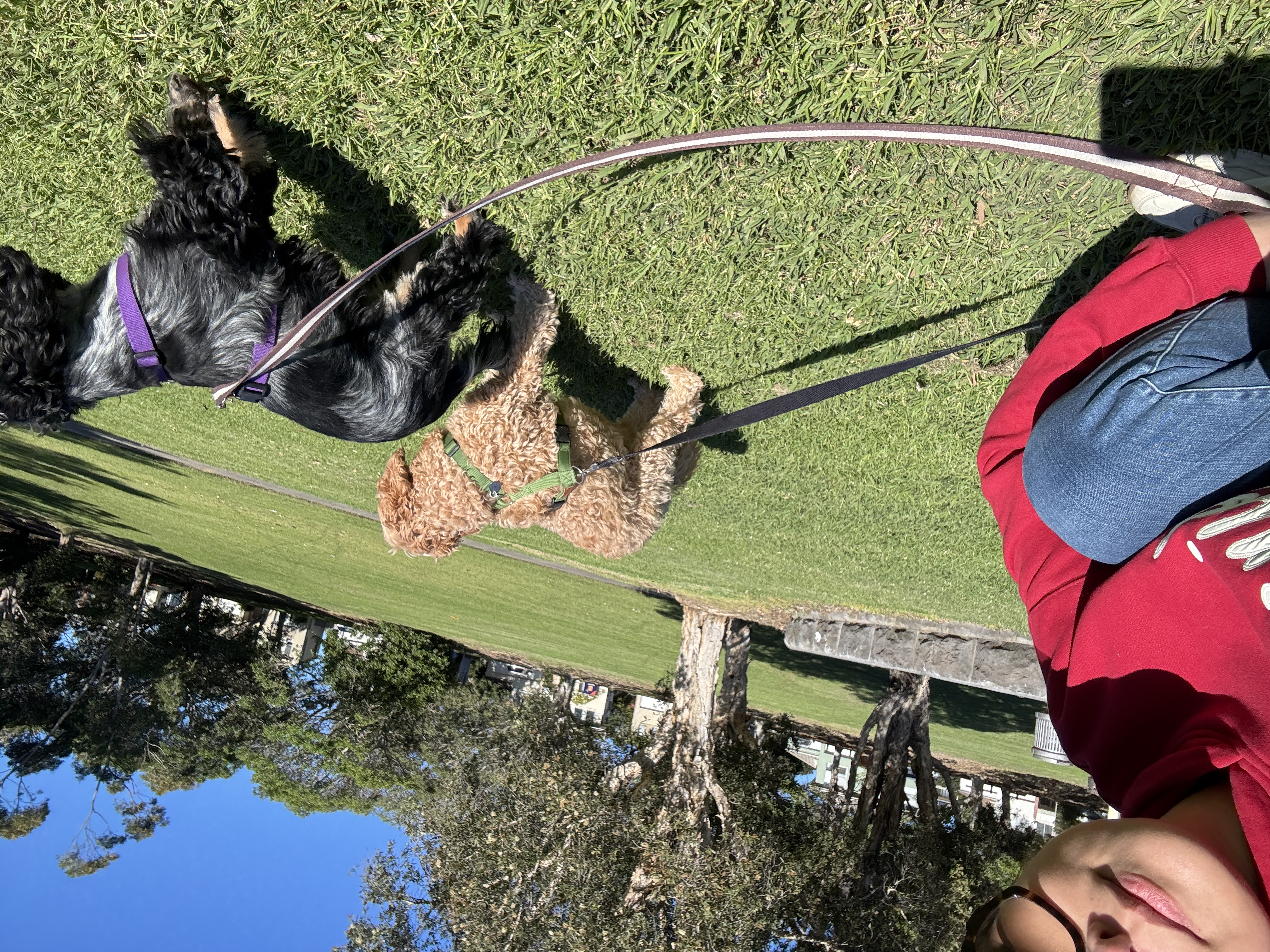 image-14