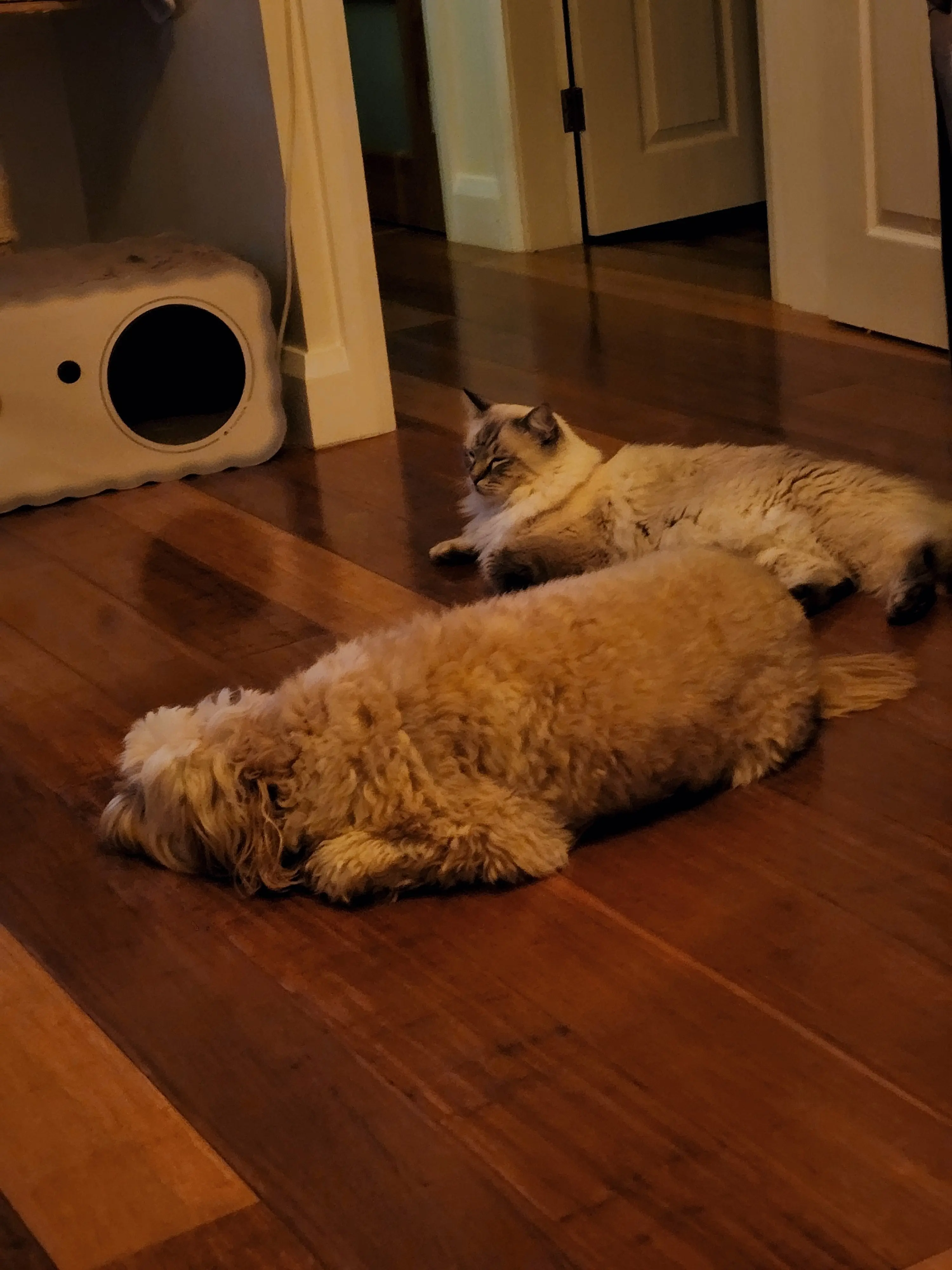 image-4