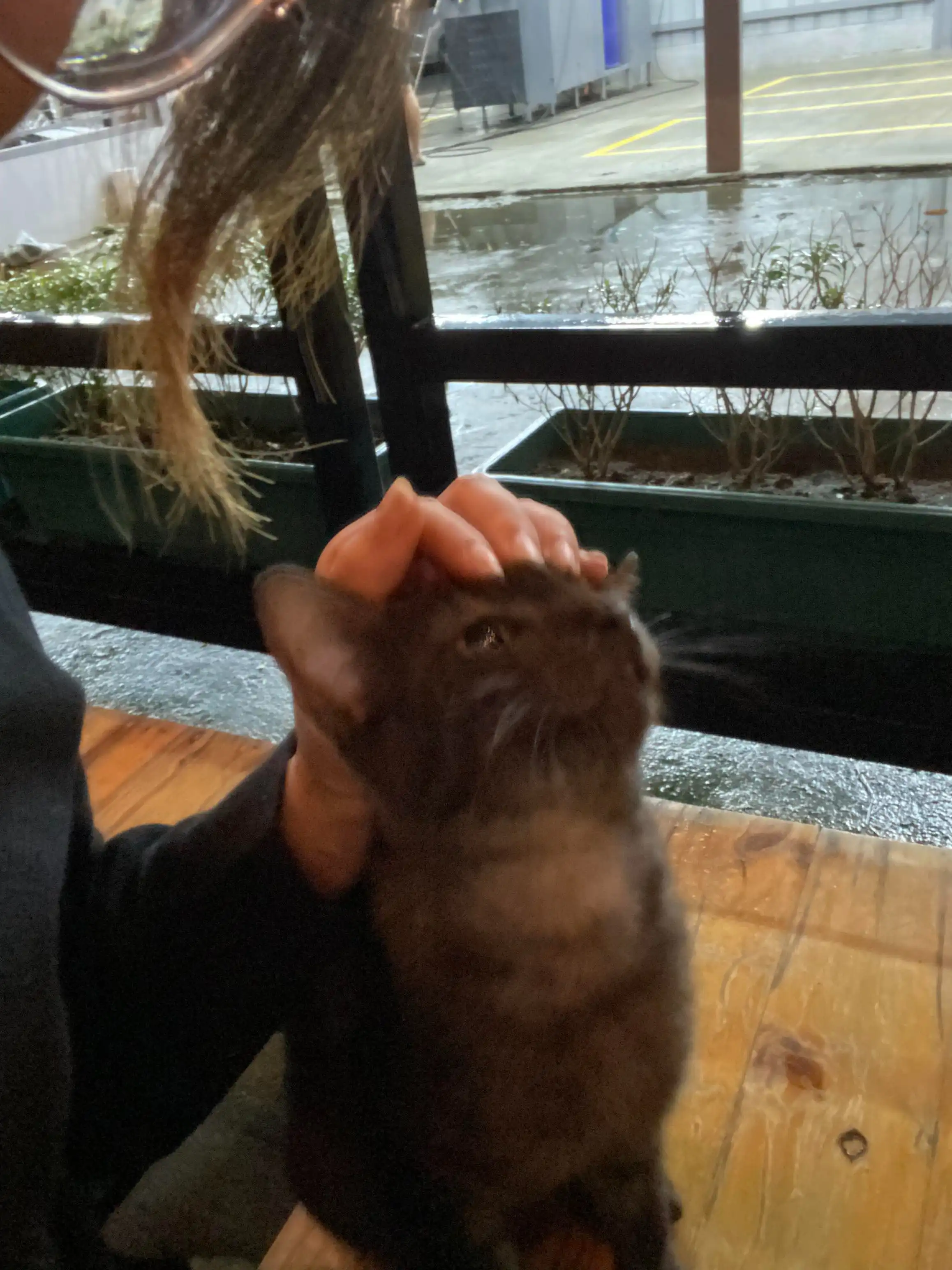 image-7