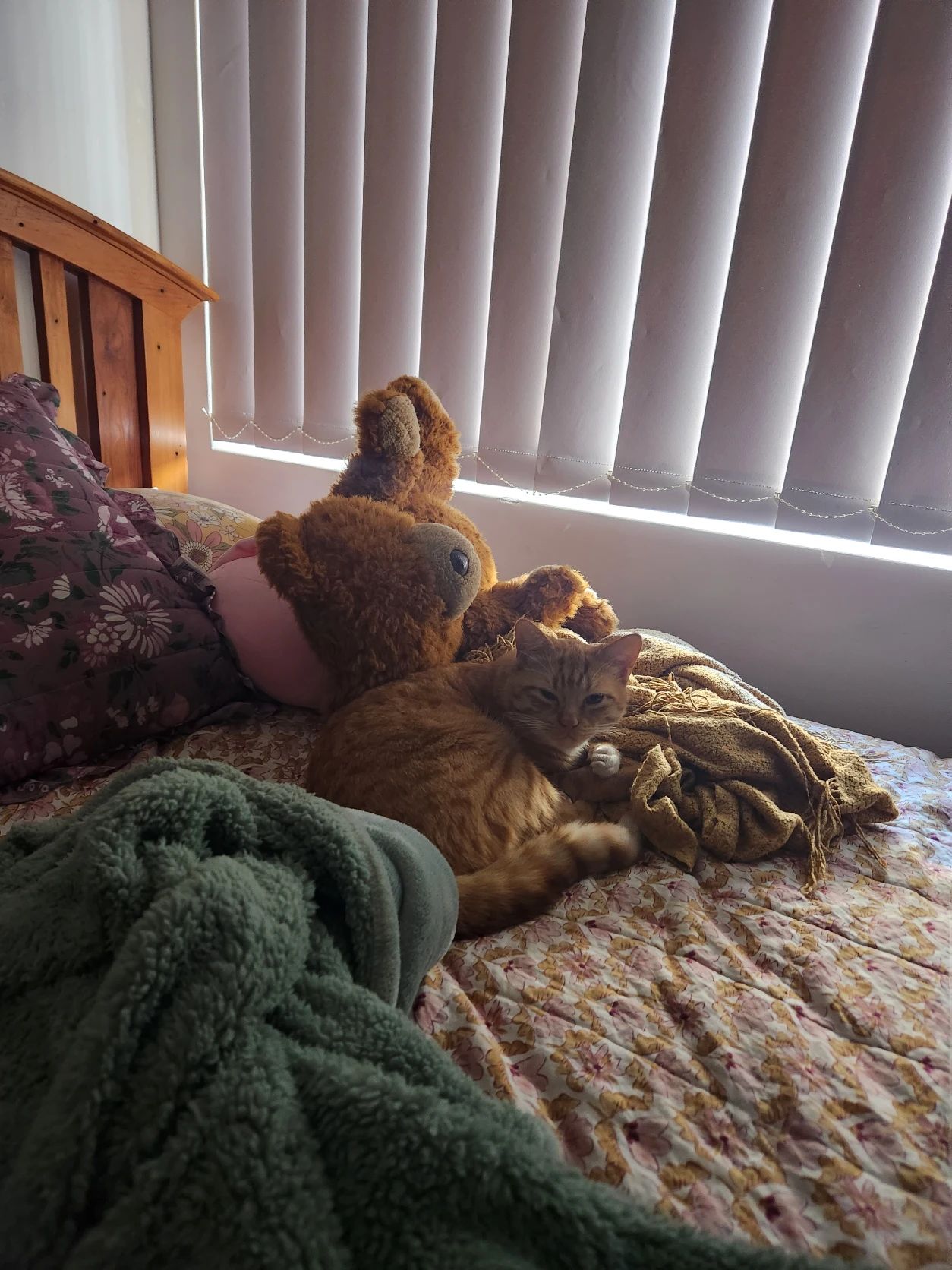 image-10