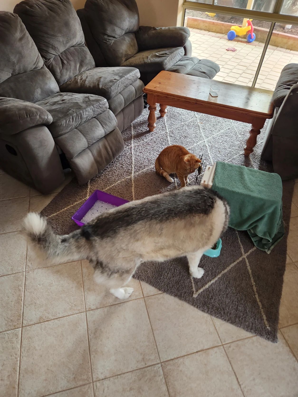 image-16