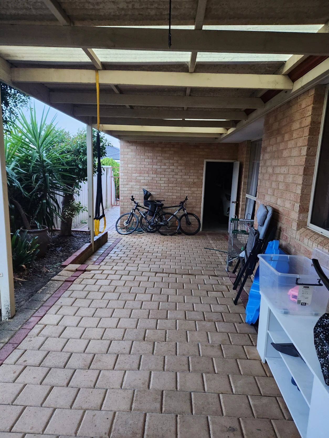 image-19