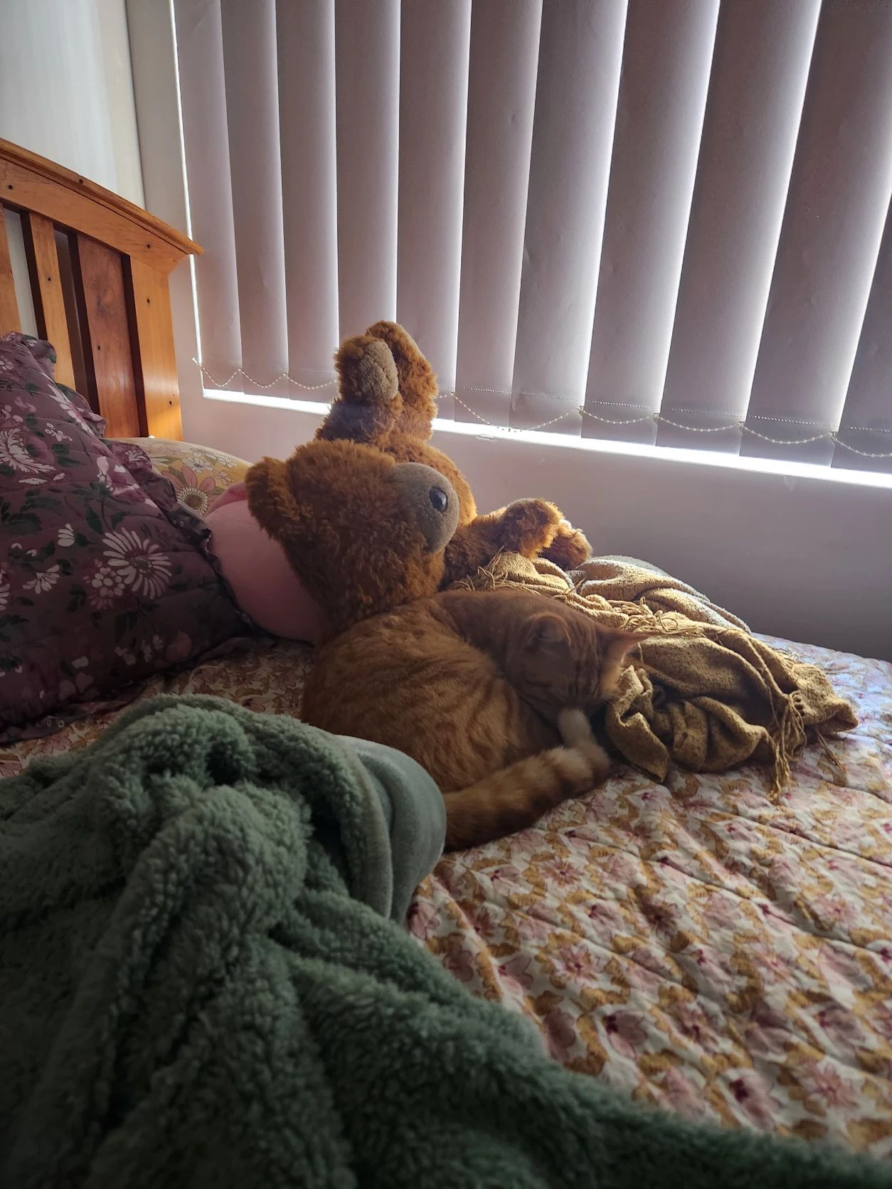 image-11