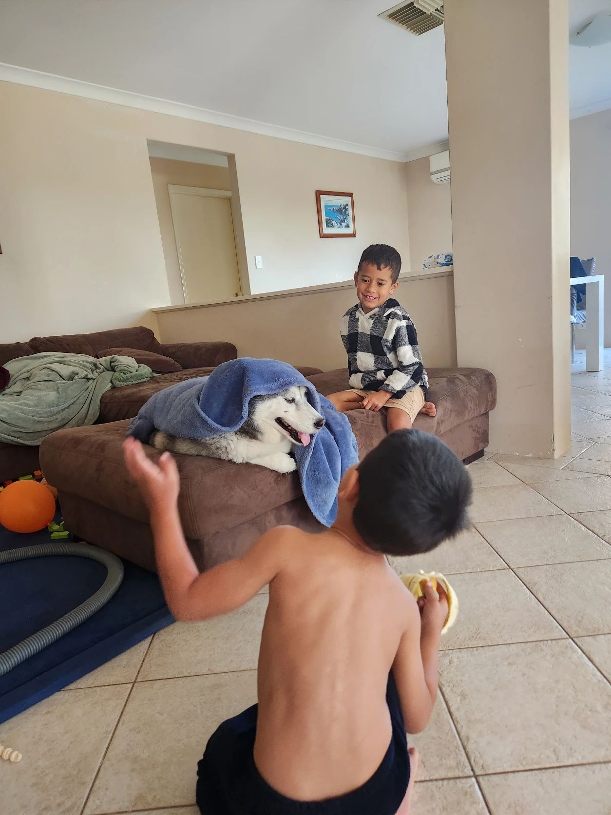 image-7