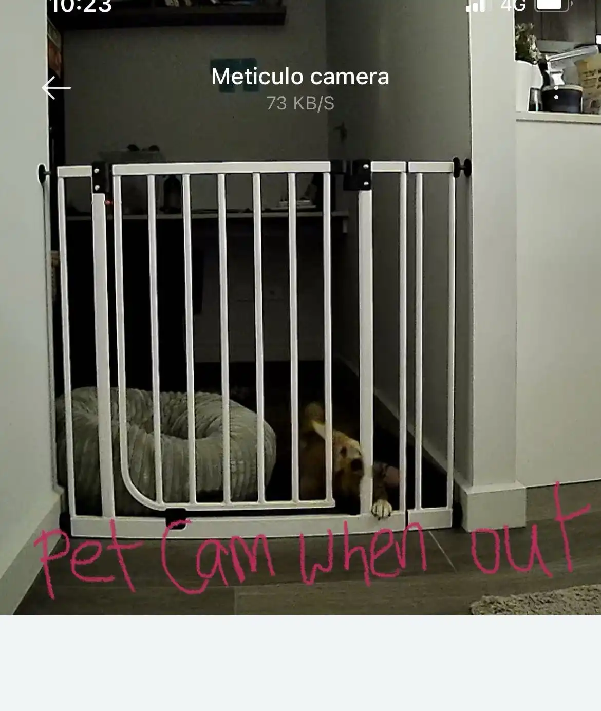 image-10