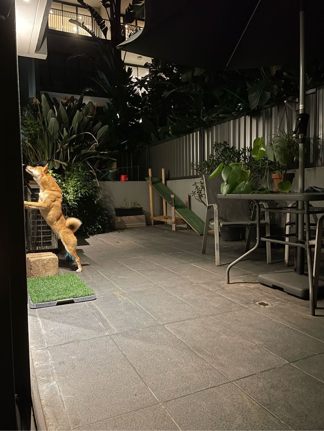 image-3