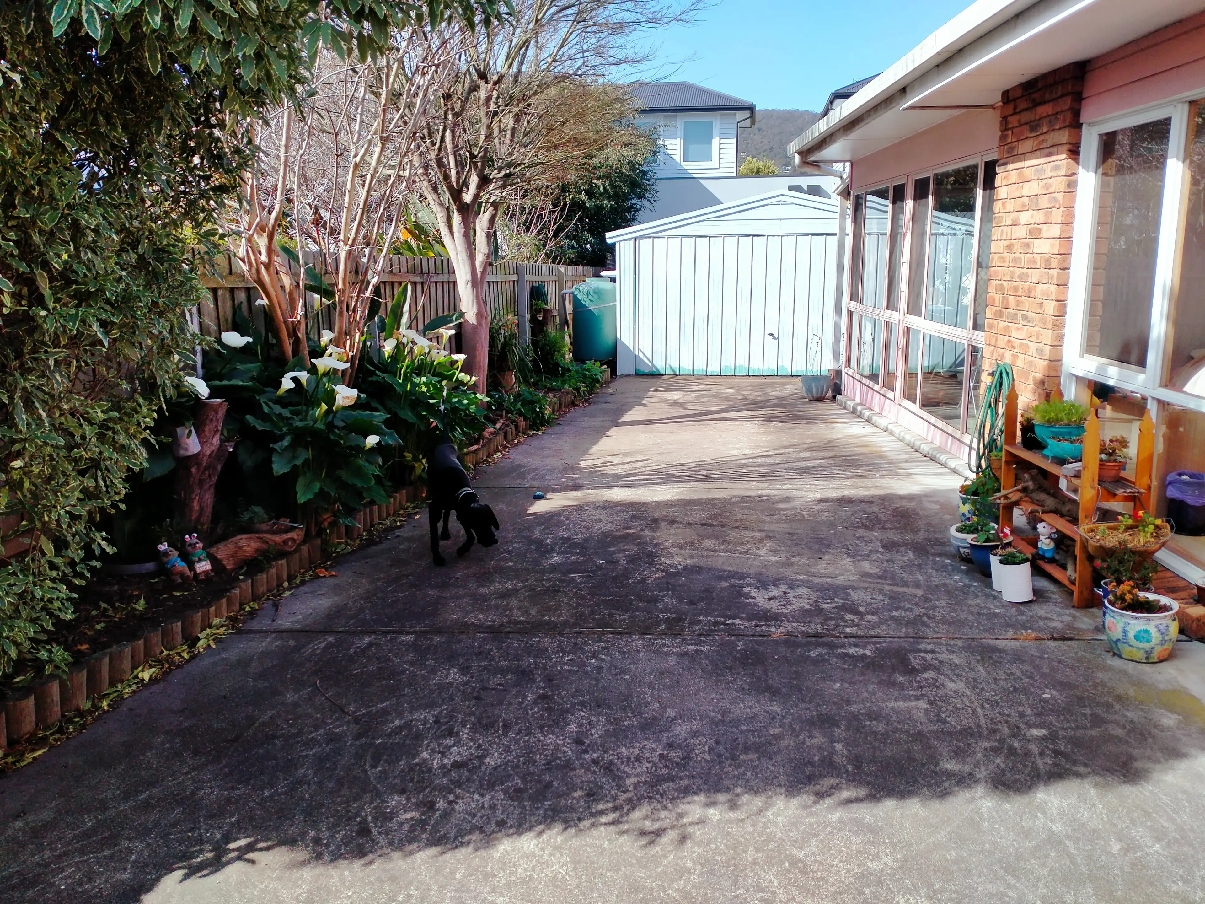 image-5