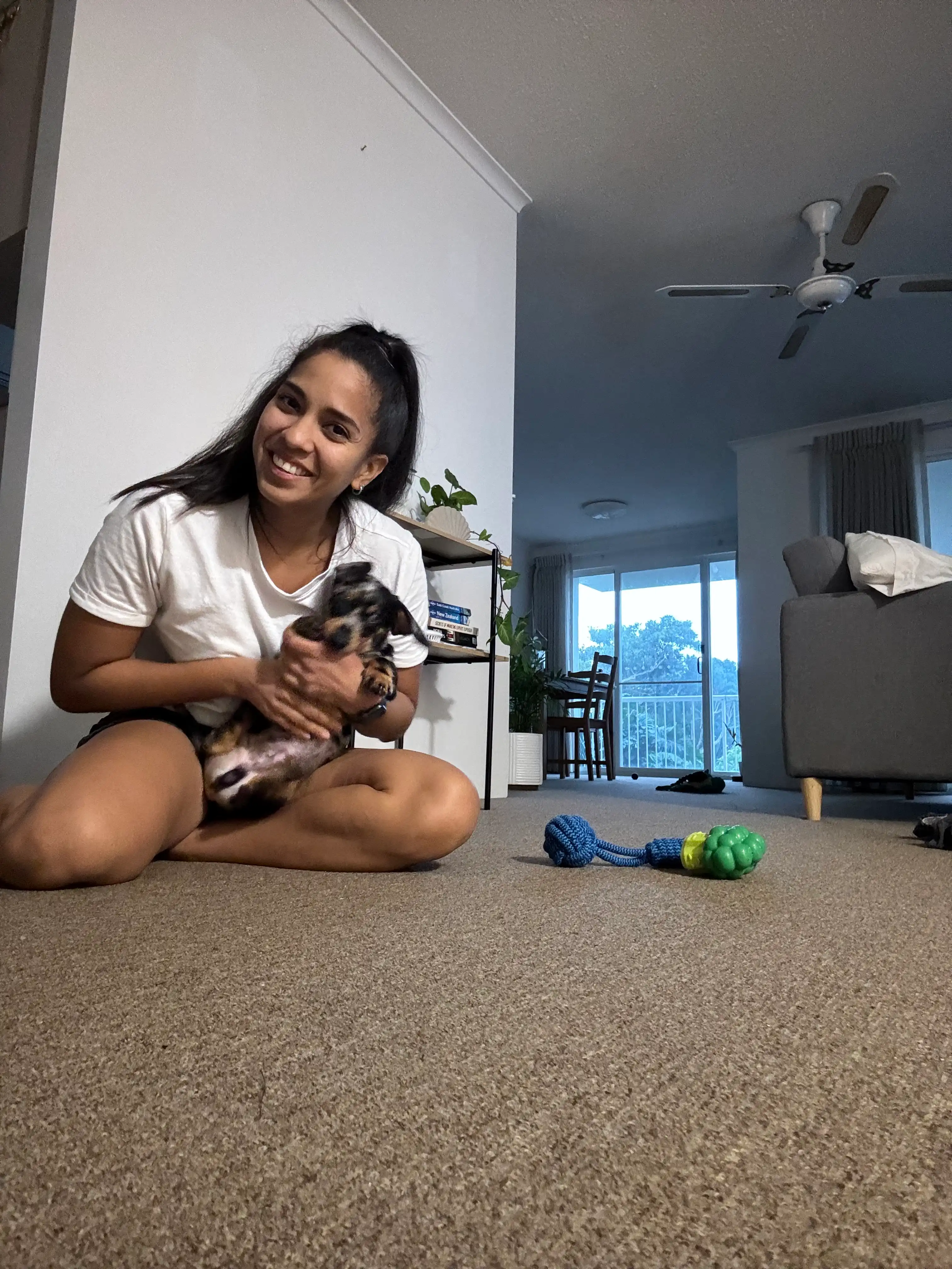 image-13