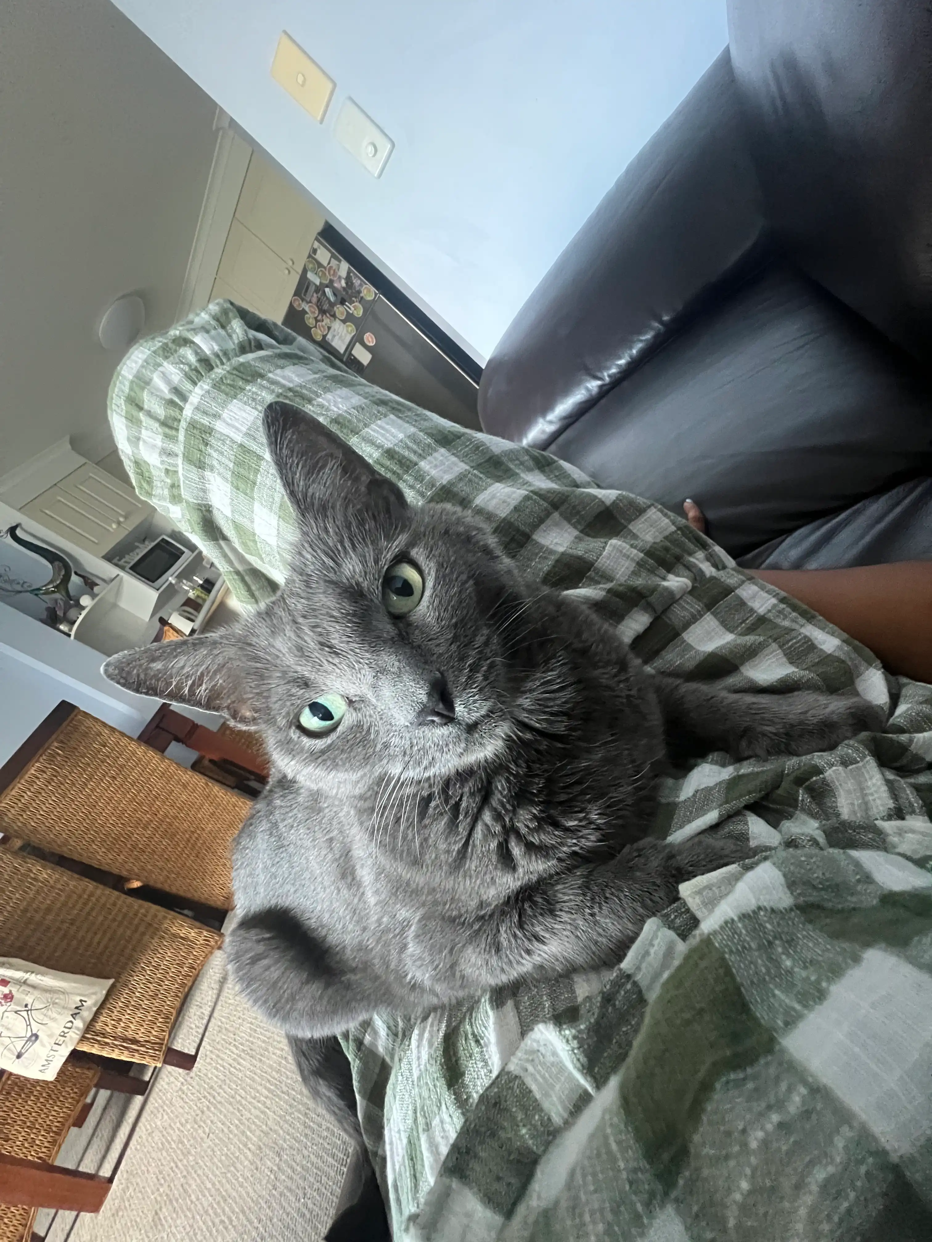 image-5