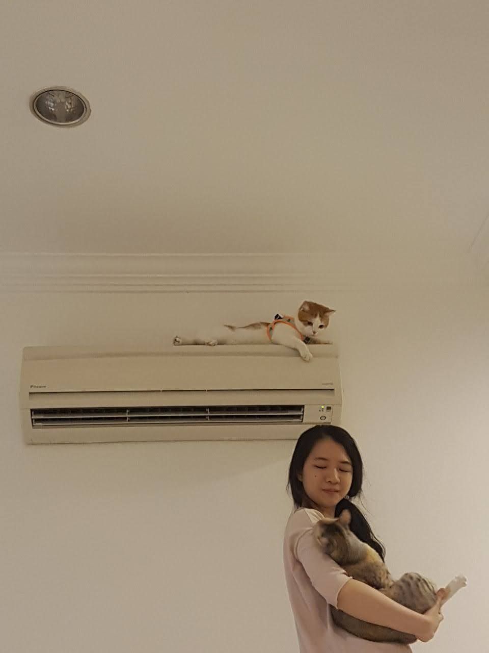 image-0