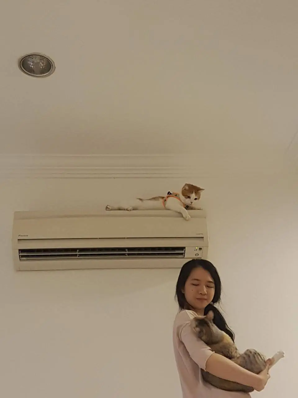 image-0