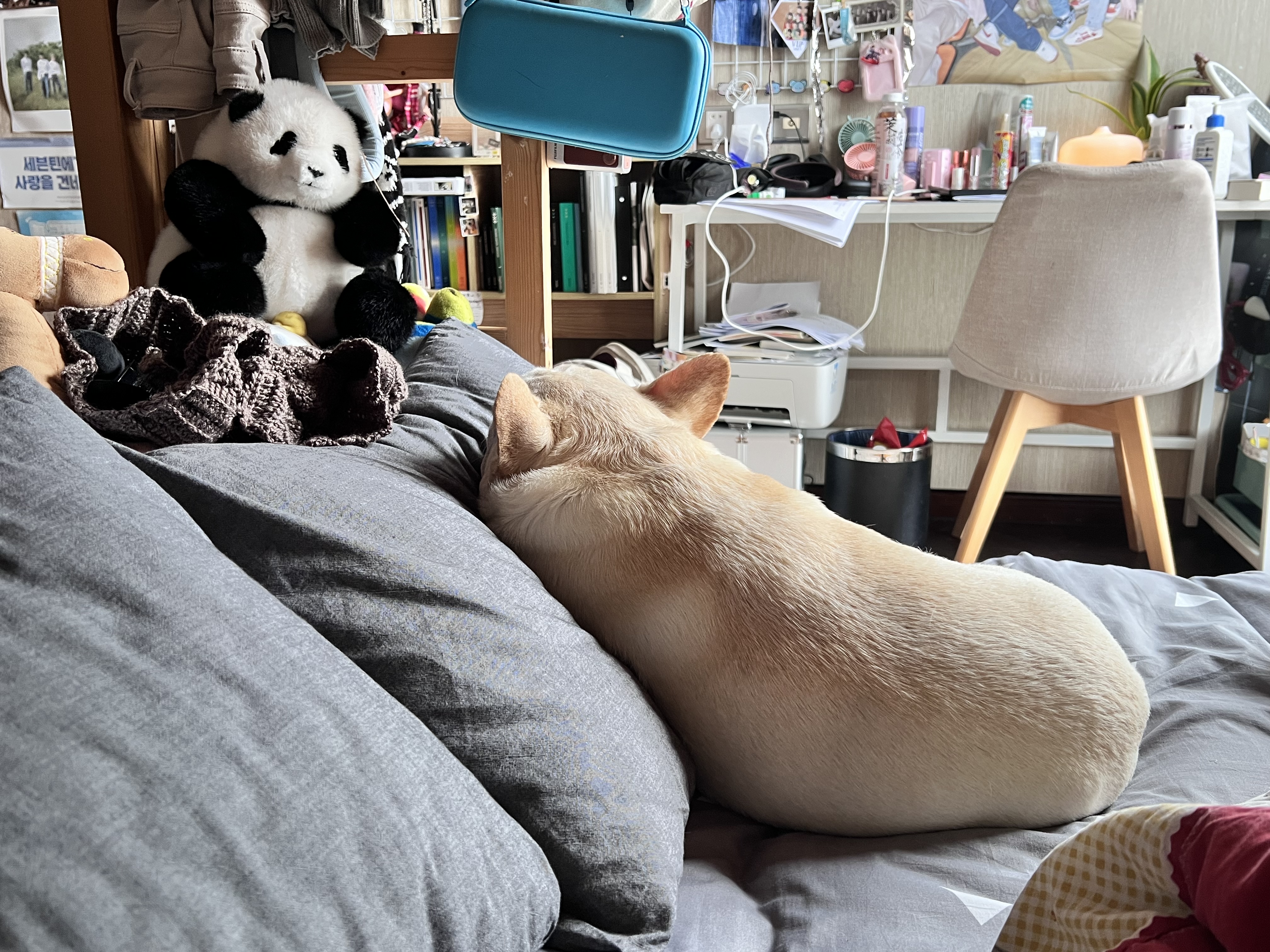 image-10