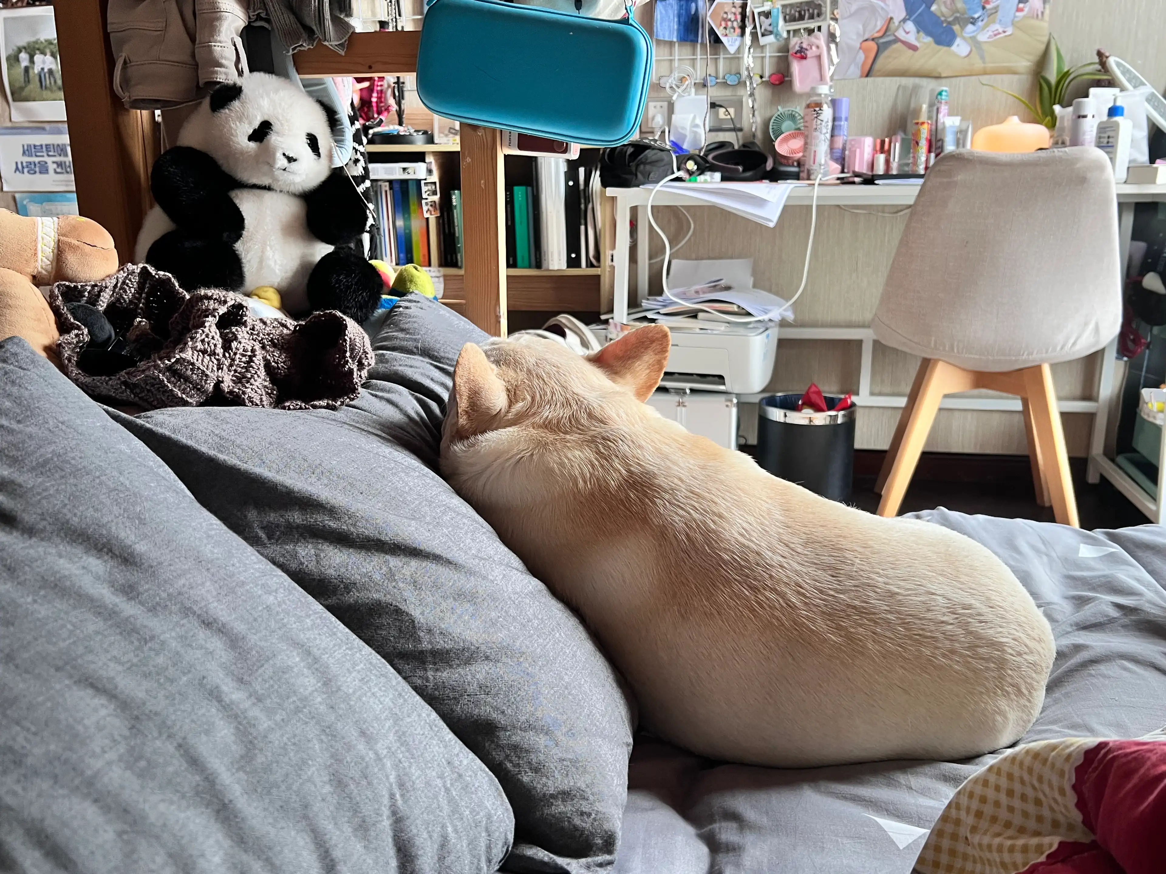 image-10