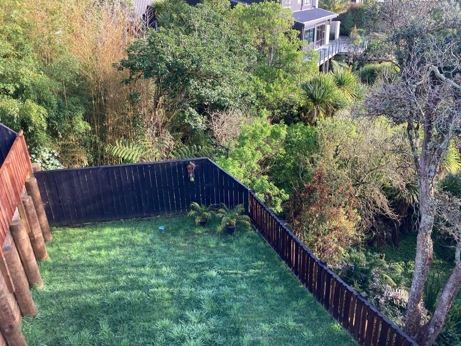 image-8