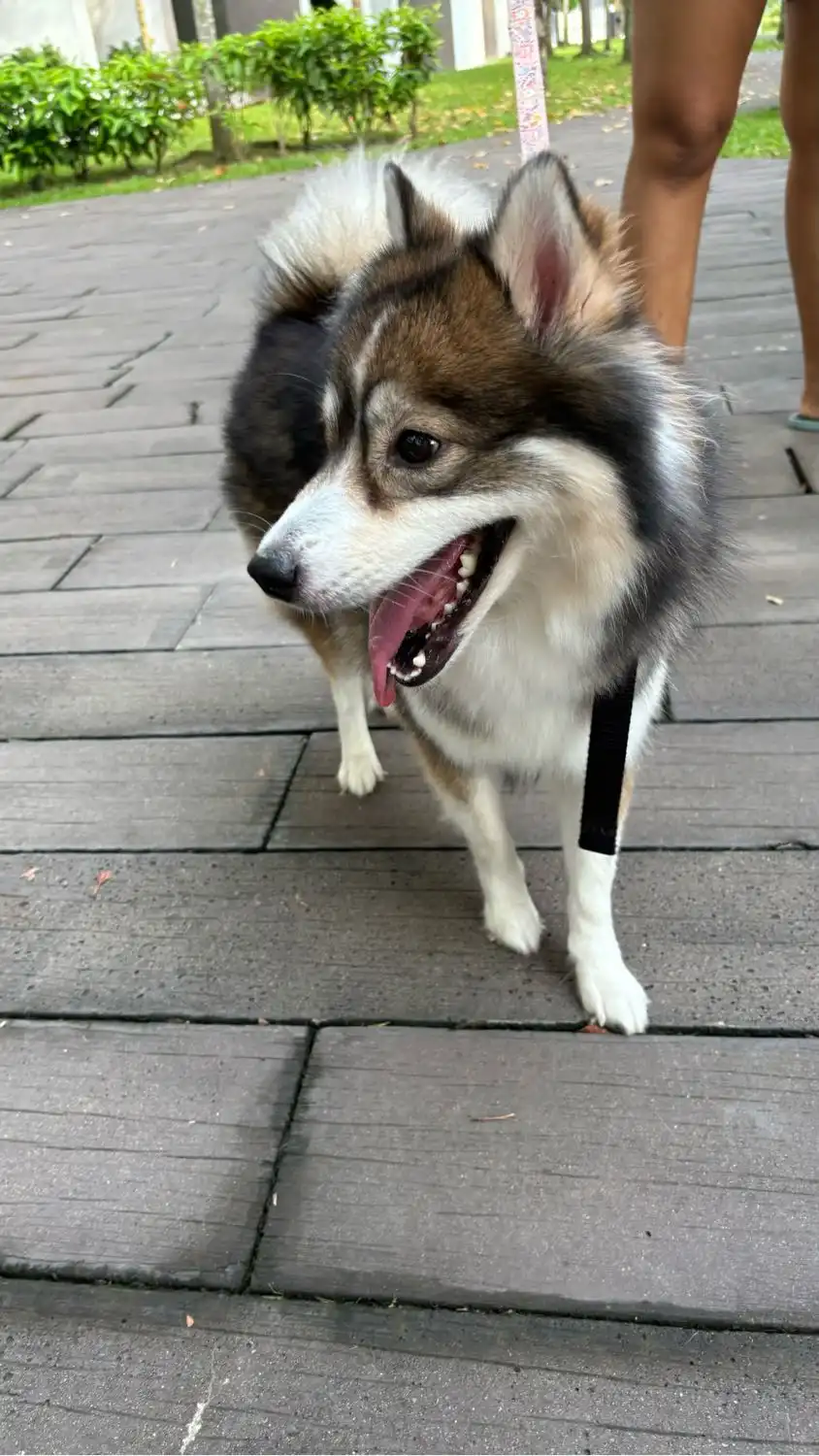 image-13