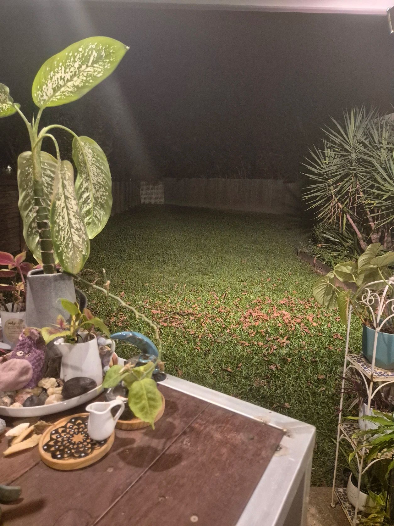 image-14