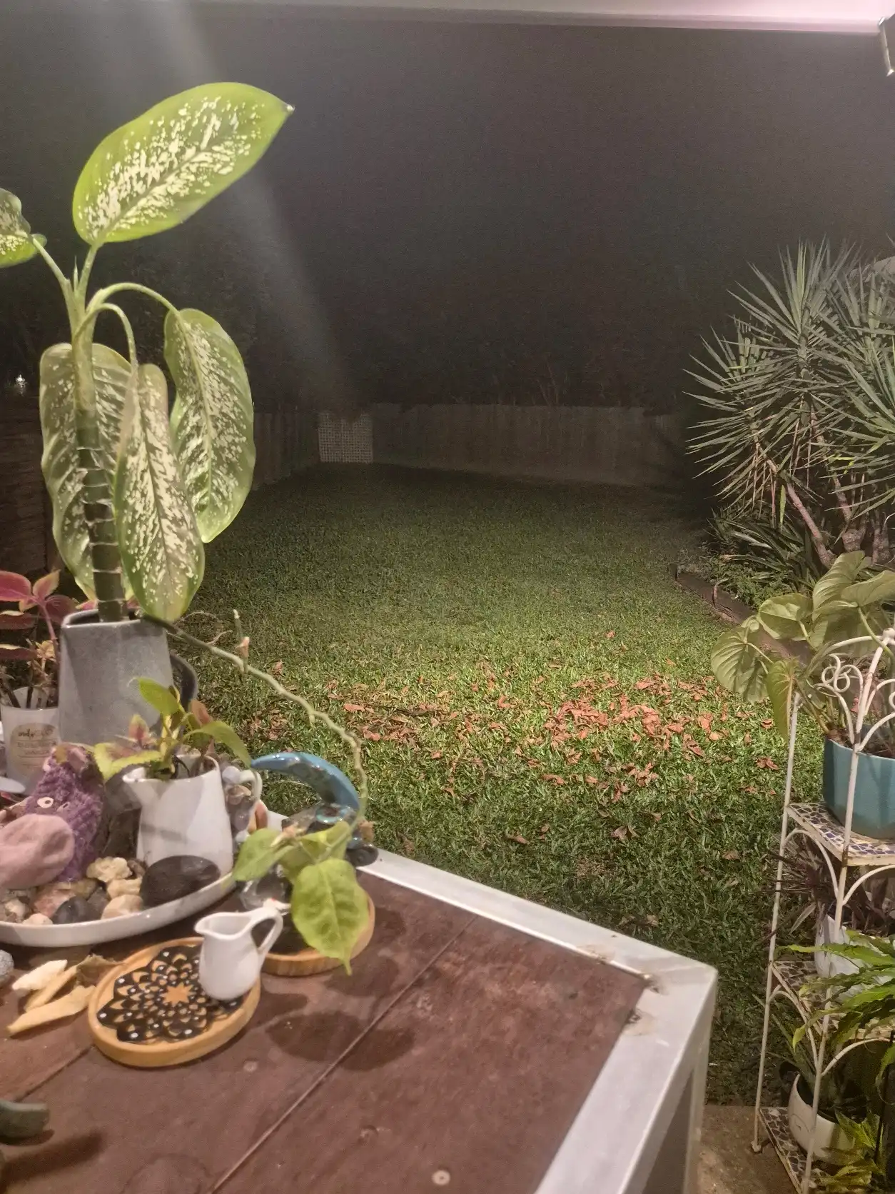 image-14