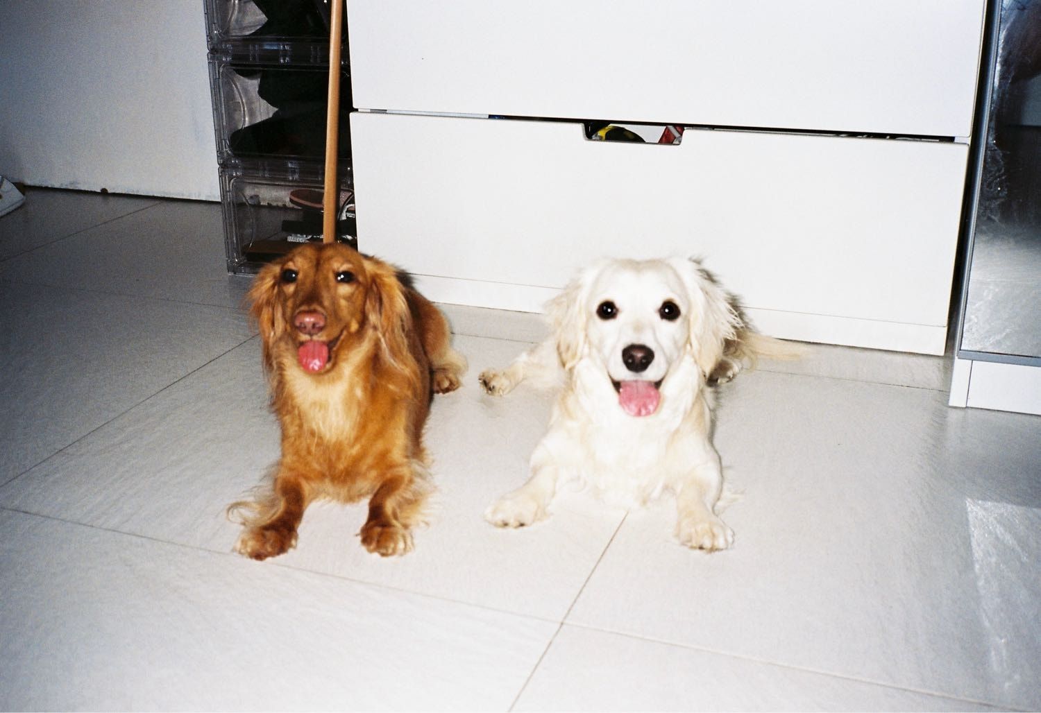 image-0