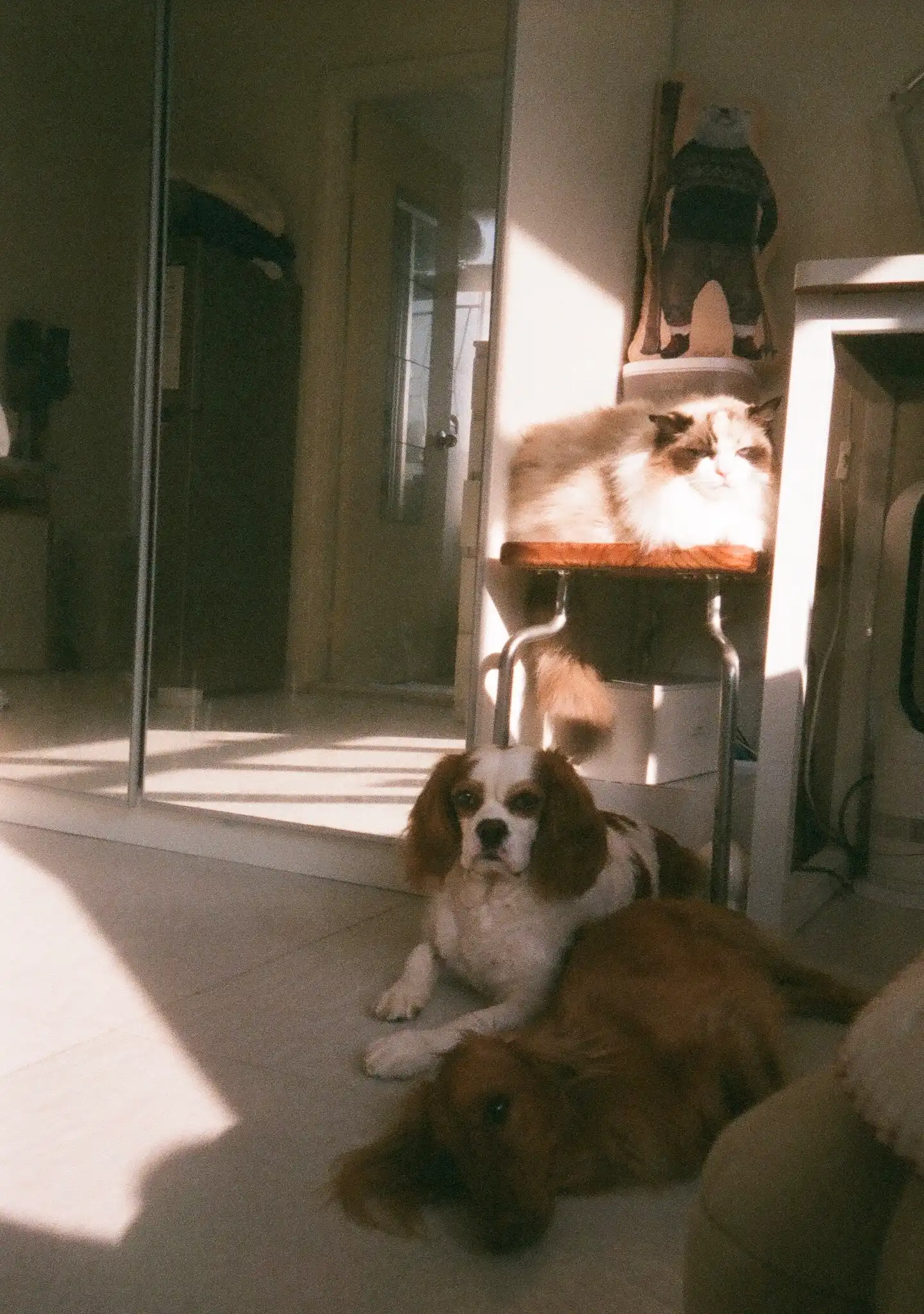 image-17