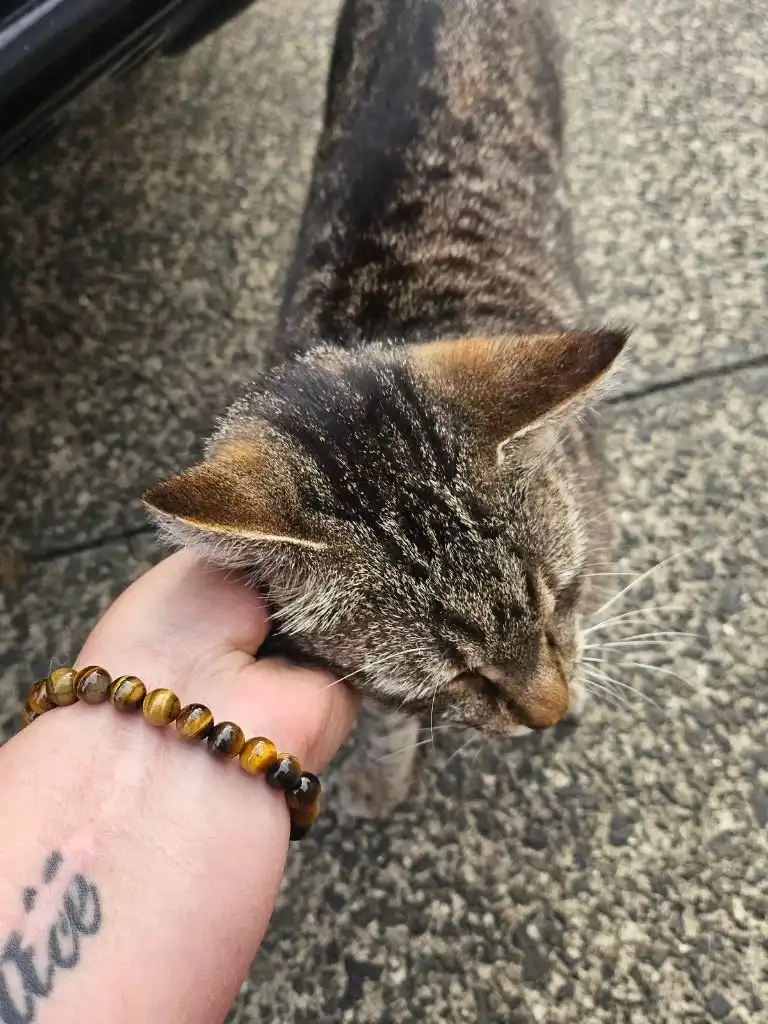 image-6
