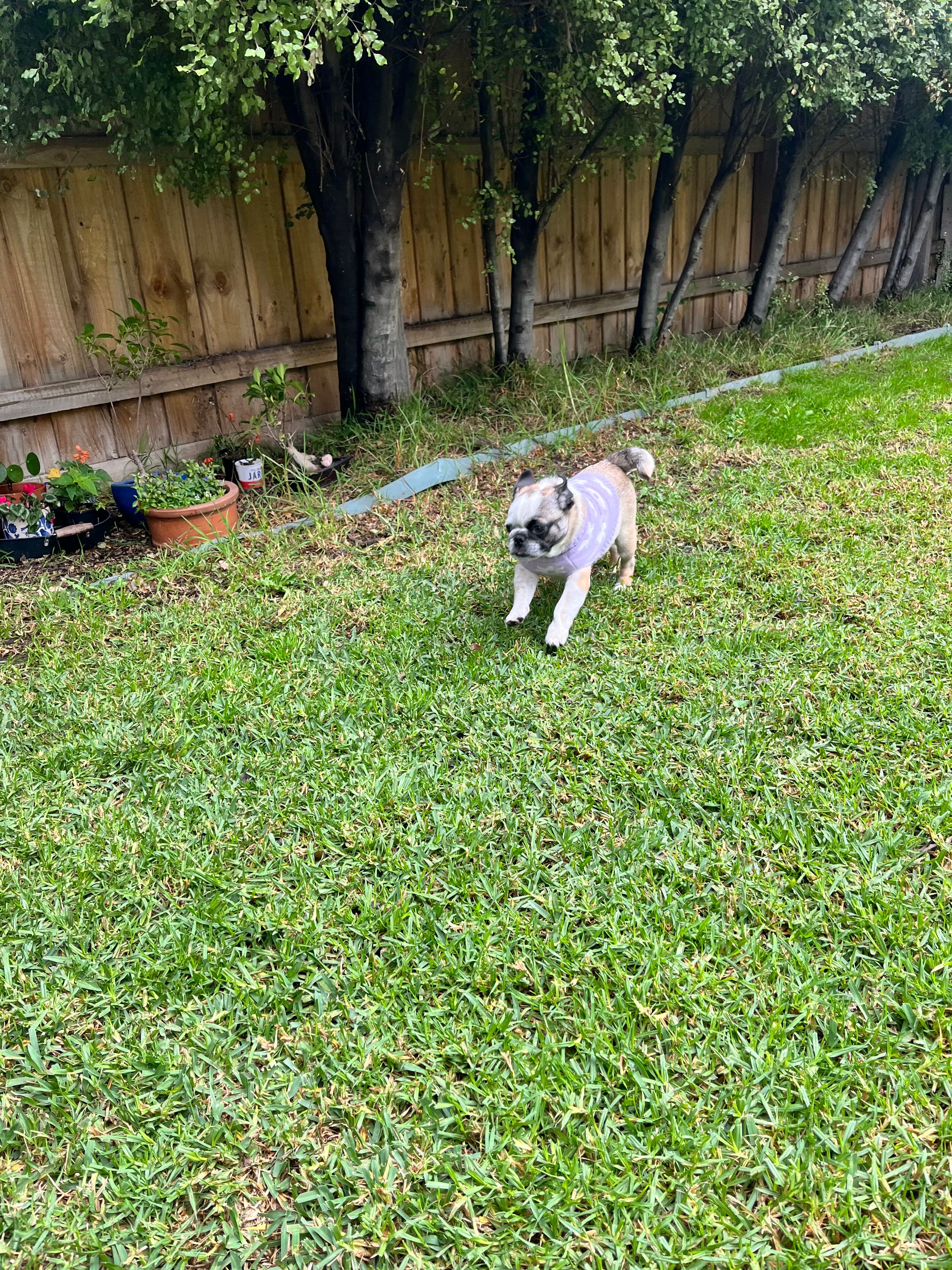image-12
