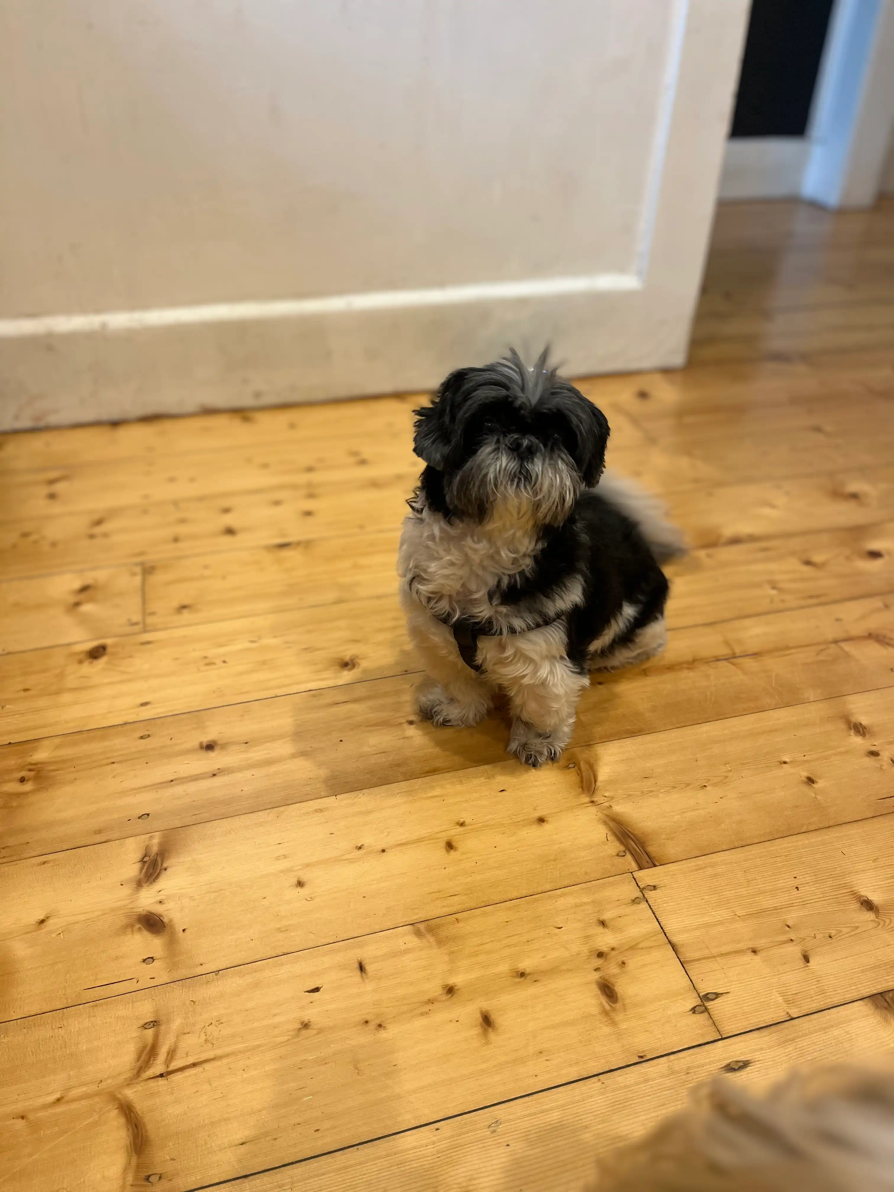 image-11